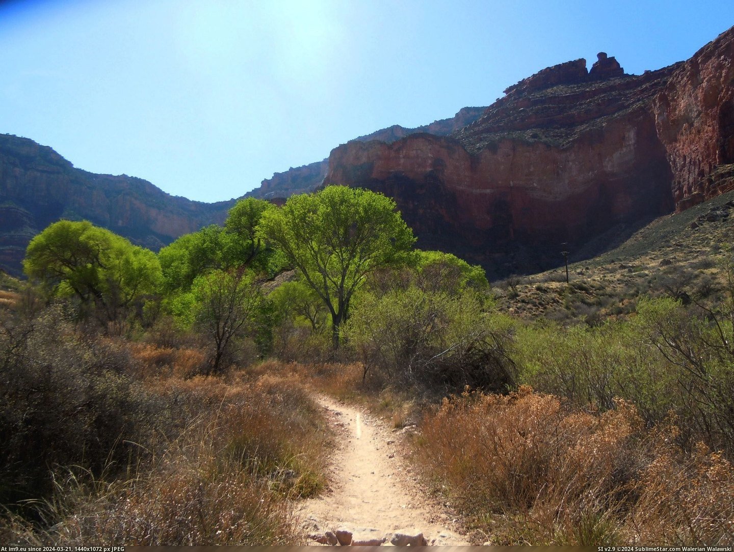 #Angel #Canyon #Bright #Greenery #Grand #Trail [Earthporn] Greenery on the Bright Angel Trail in the Grand Canyon [OC] [900x600] Pic. (Изображение из альбом My r/EARTHPORN favs))