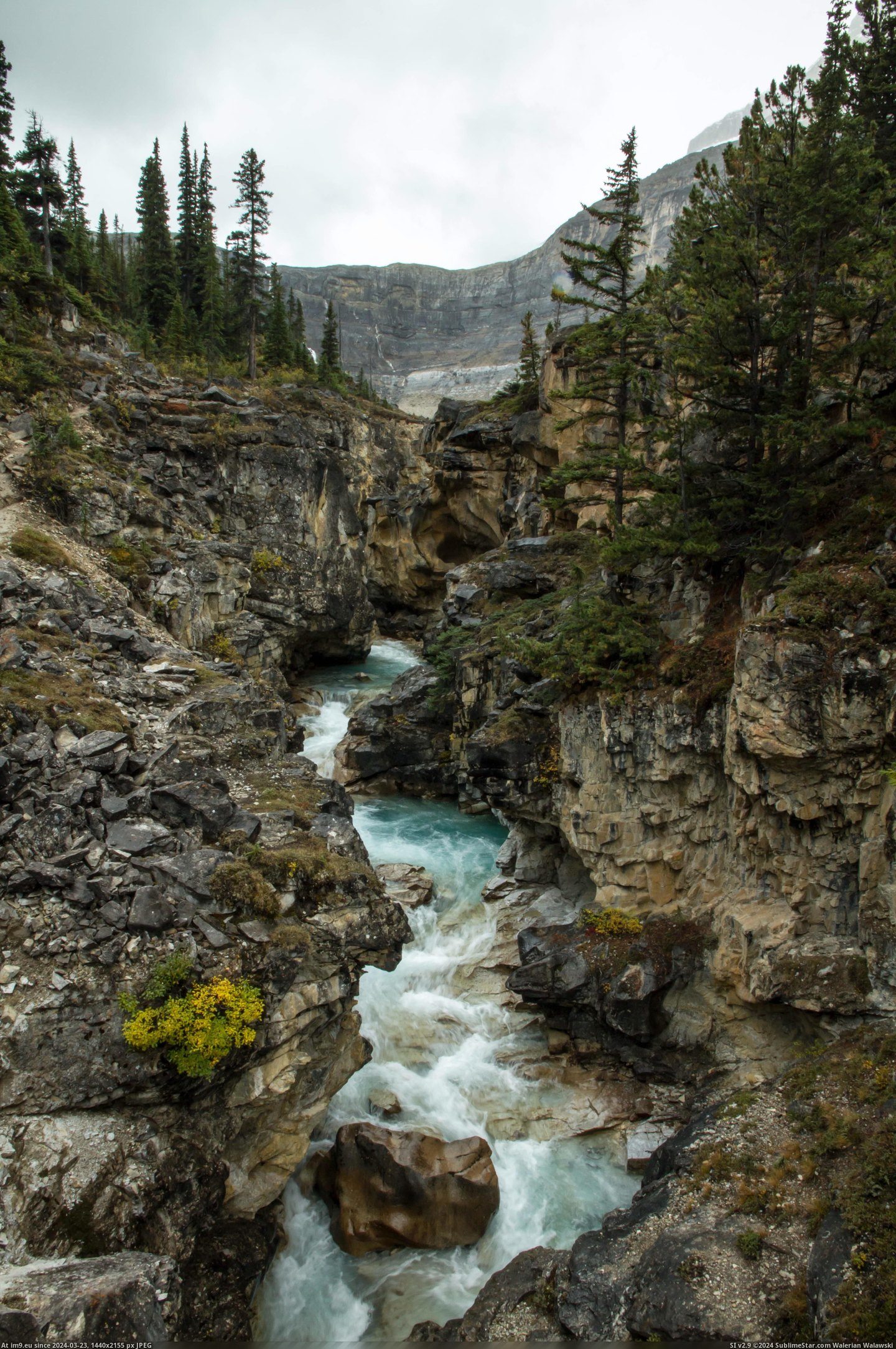 #Canada #Falls #Hiking #Bow #3456x5184 #Glacier #Alberta [Earthporn]  Hiking to Bow Glacier Falls,Alberta,Canada [3456x5184] Pic. (Image of album My r/EARTHPORN favs))