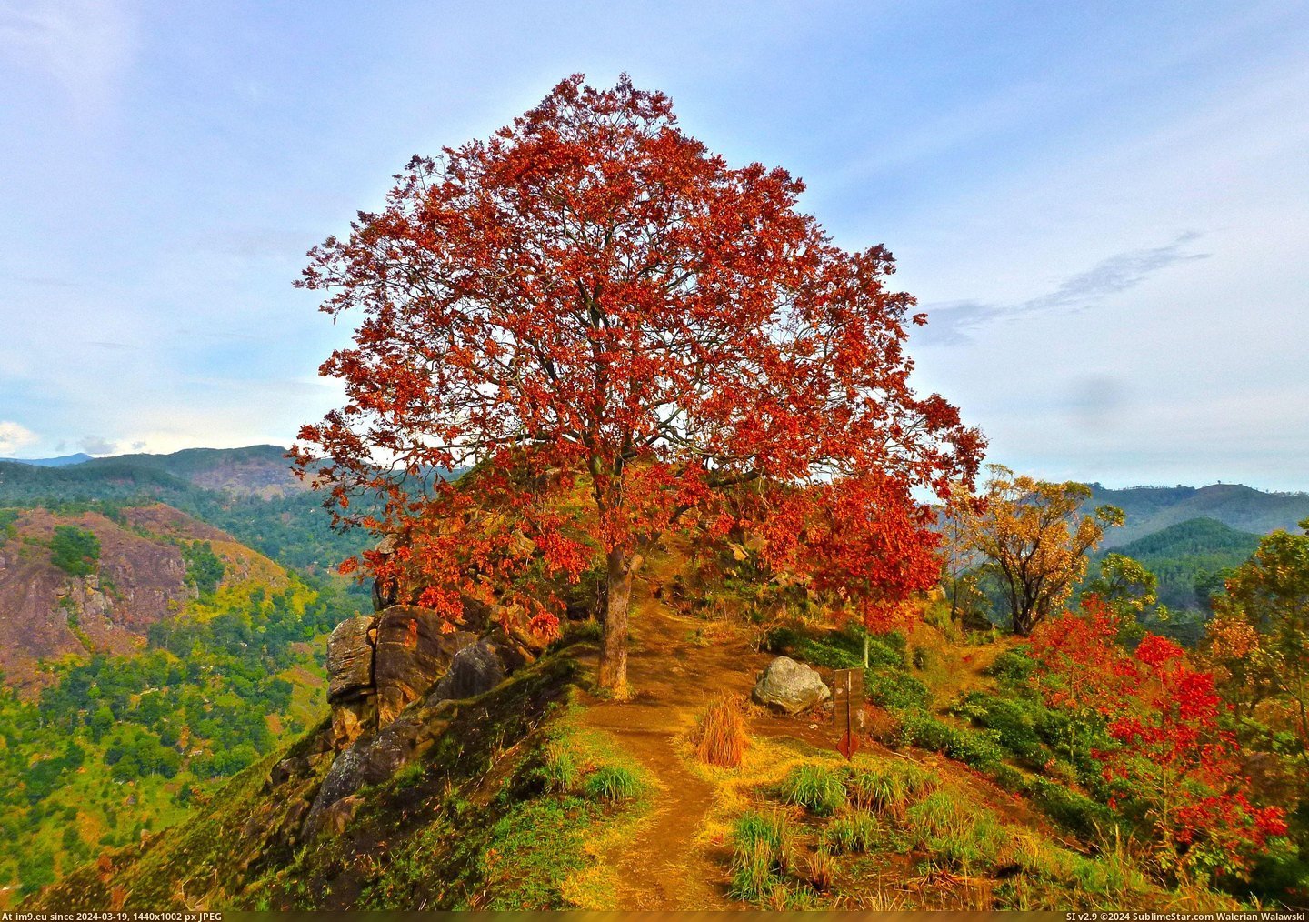 #Peak #Lanka #Sri #Adam [Earthporn] Little Adam's Peak, Sri Lanka [OC] [4228 × 2958] Pic. (Obraz z album My r/EARTHPORN favs))