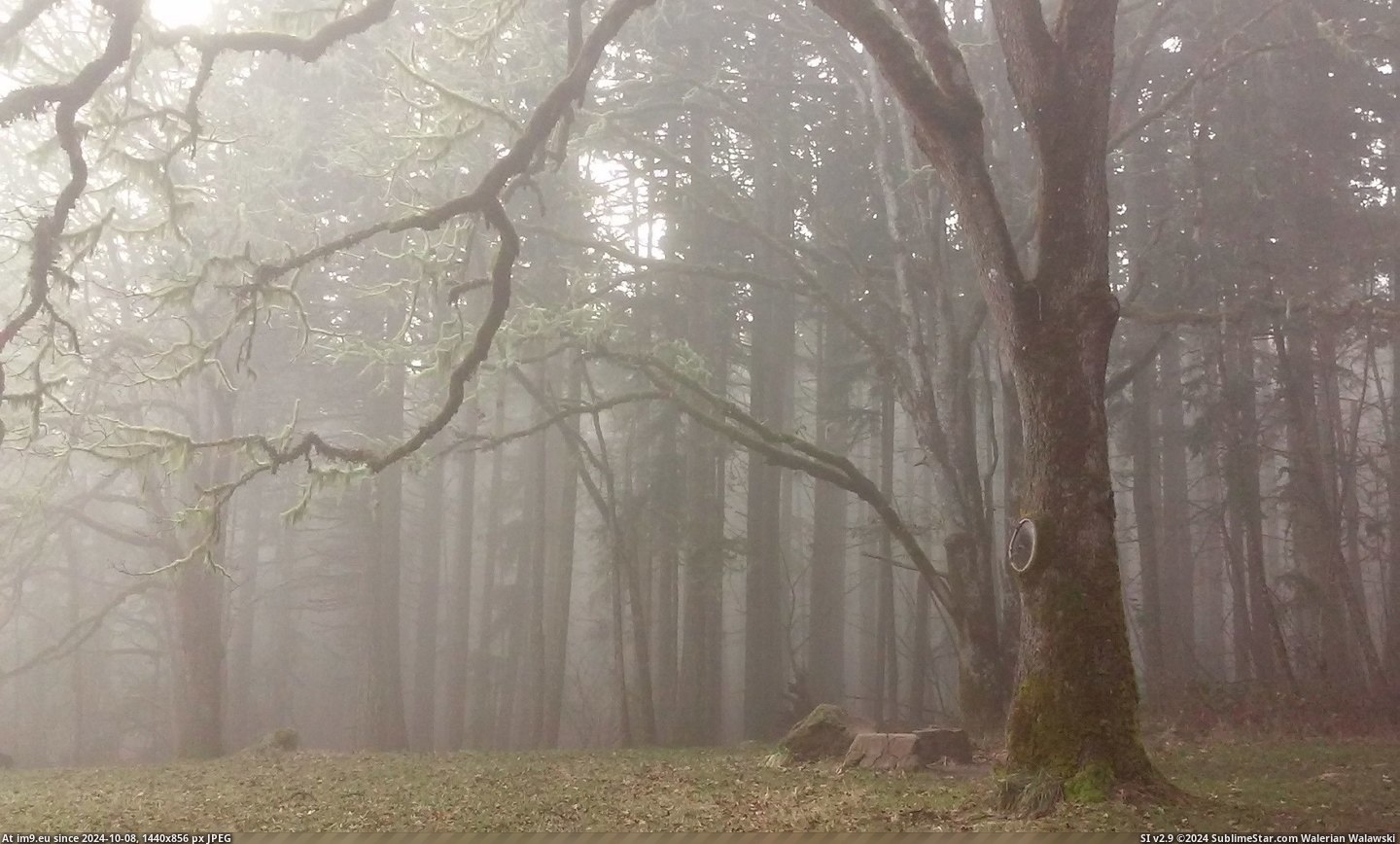 #Oregon #Fog #Butte #Spencer #Midday [Earthporn] Midday fog Spencer's Butte, Oregon [2240x1344] Pic. (Изображение из альбом Most Beautiful Nature HD Wallpapers))