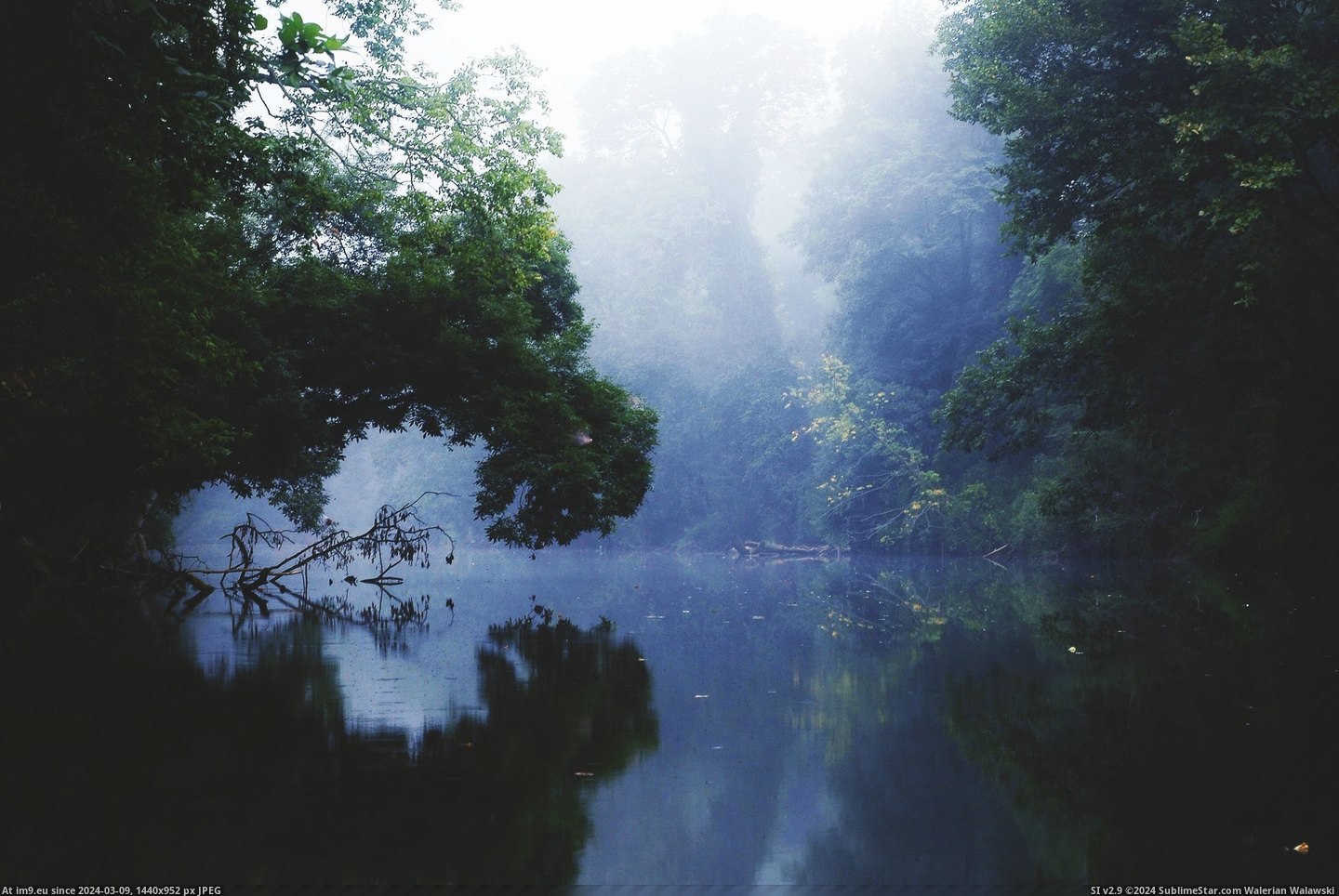 #Morning #Creek #3008x2000 #Goose #Fog #Virginia [Earthporn] Morning Fog on Goose Creek, Virginia [3008x2000] Pic. (Obraz z album My r/EARTHPORN favs))