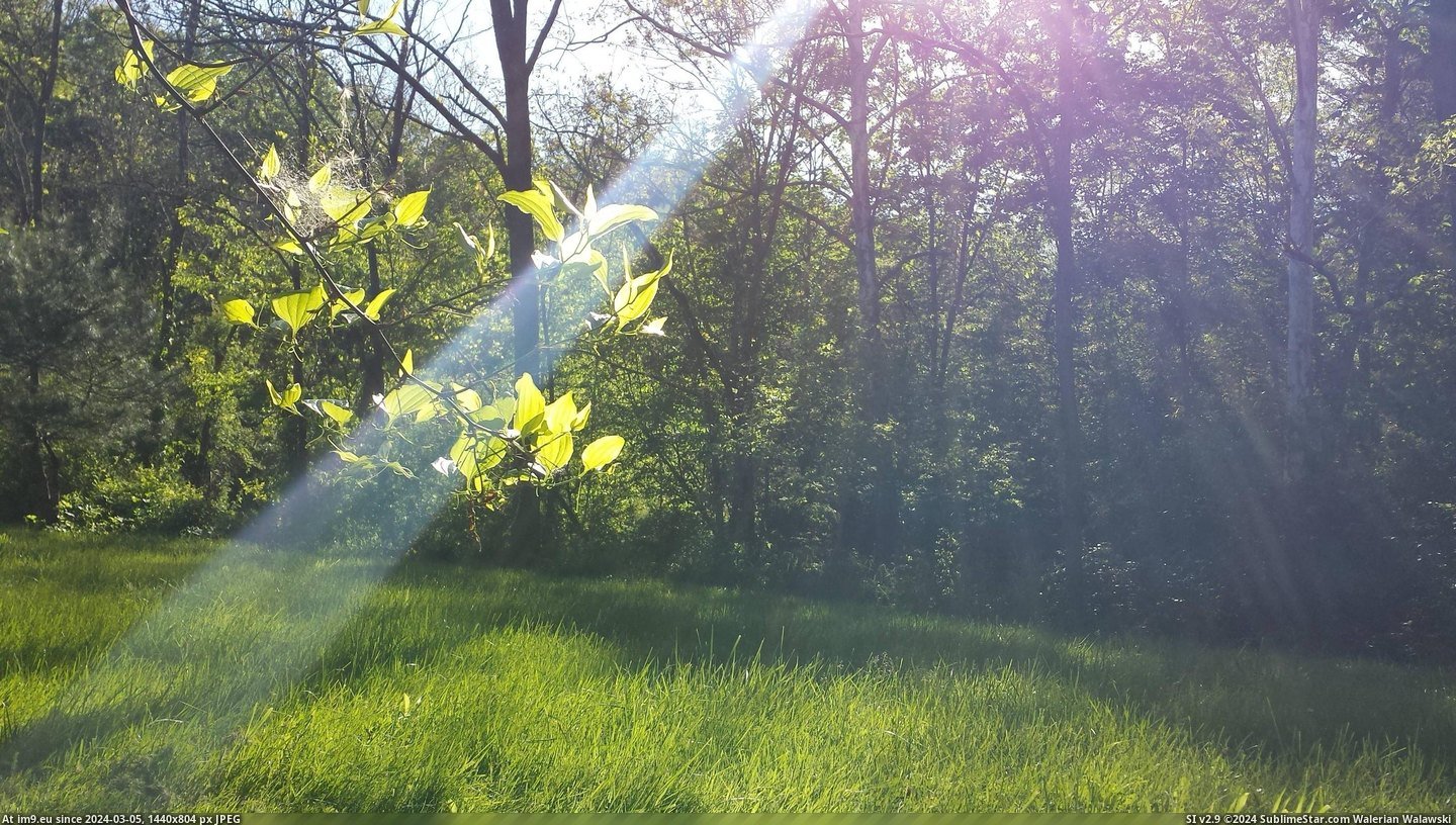 #Friend #Summer #Backyard #Unedited #Posted #Gorgeous [Earthporn] My friend's backyard is gorgeous during the summer. [unedited and also posted in -pics] [3264x1846] Pic. (Bild von album My r/EARTHPORN favs))
