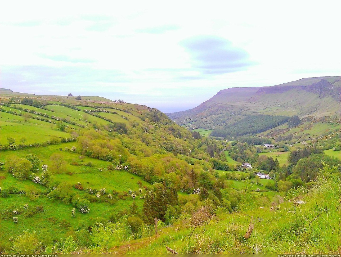 #Forest #Northern #Glenariff #Ireland #2592x1944 [Earthporn] Northern Ireland, Glenariff Forest yesterday [OC] (2592x1944) Pic. (Image of album My r/EARTHPORN favs))