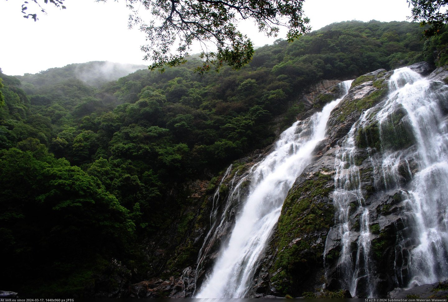 #Japan #3872x2592 #Falls [Earthporn] Oko-no-Taki falls, Yakushima, Japan [3872x2592] Pic. (Image of album My r/EARTHPORN favs))