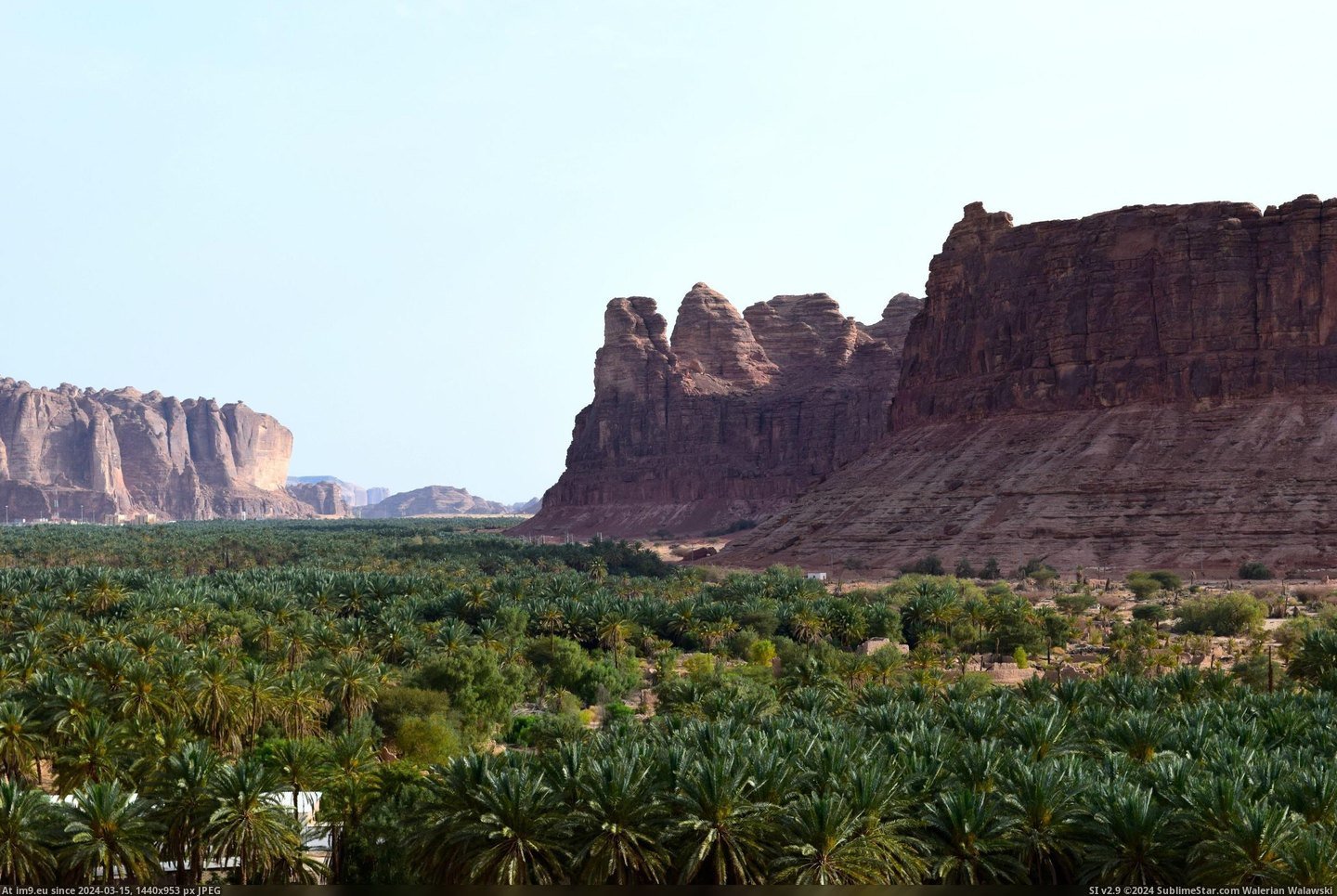 #Canyon #Arabia #2400x1600 #Saudi #Palms [Earthporn] Palms in a Canyon, Al Ula, Saudi Arabia [2400x1600] Pic. (Image of album My r/EARTHPORN favs))