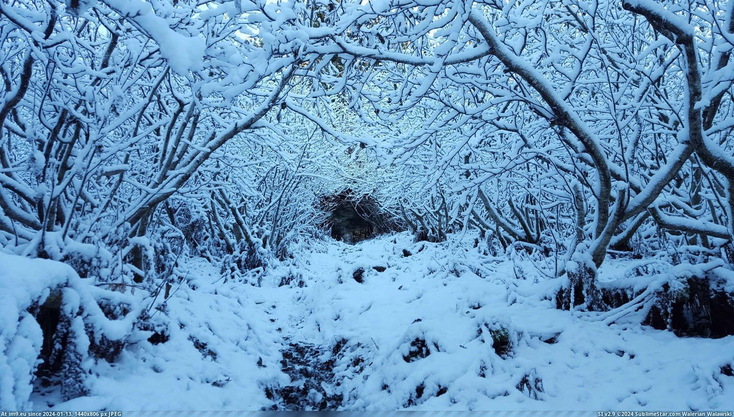 #Night #Snow #Trail #Remote #Alaska #Storm [Earthporn] Remote trail the night after a snow storm - Alaska  [3984x2241] Pic. (Obraz z album My r/EARTHPORN favs))
