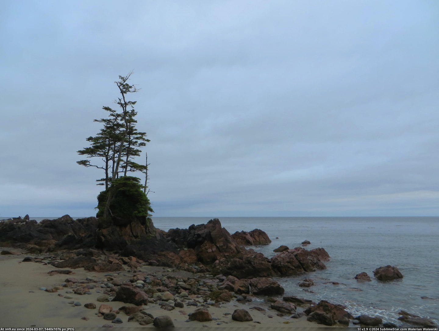 #Rock #Trees #Ocean #Storm #Facing #Spruce #Pillar #Pacific #Cape #Scott #Lone [Earthporn] Storm battered Spruce trees on a lone pillar of rock facing the open Pacific ocean. Cape Scott, BC.  [3967x2975] Pic. (Obraz z album My r/EARTHPORN favs))