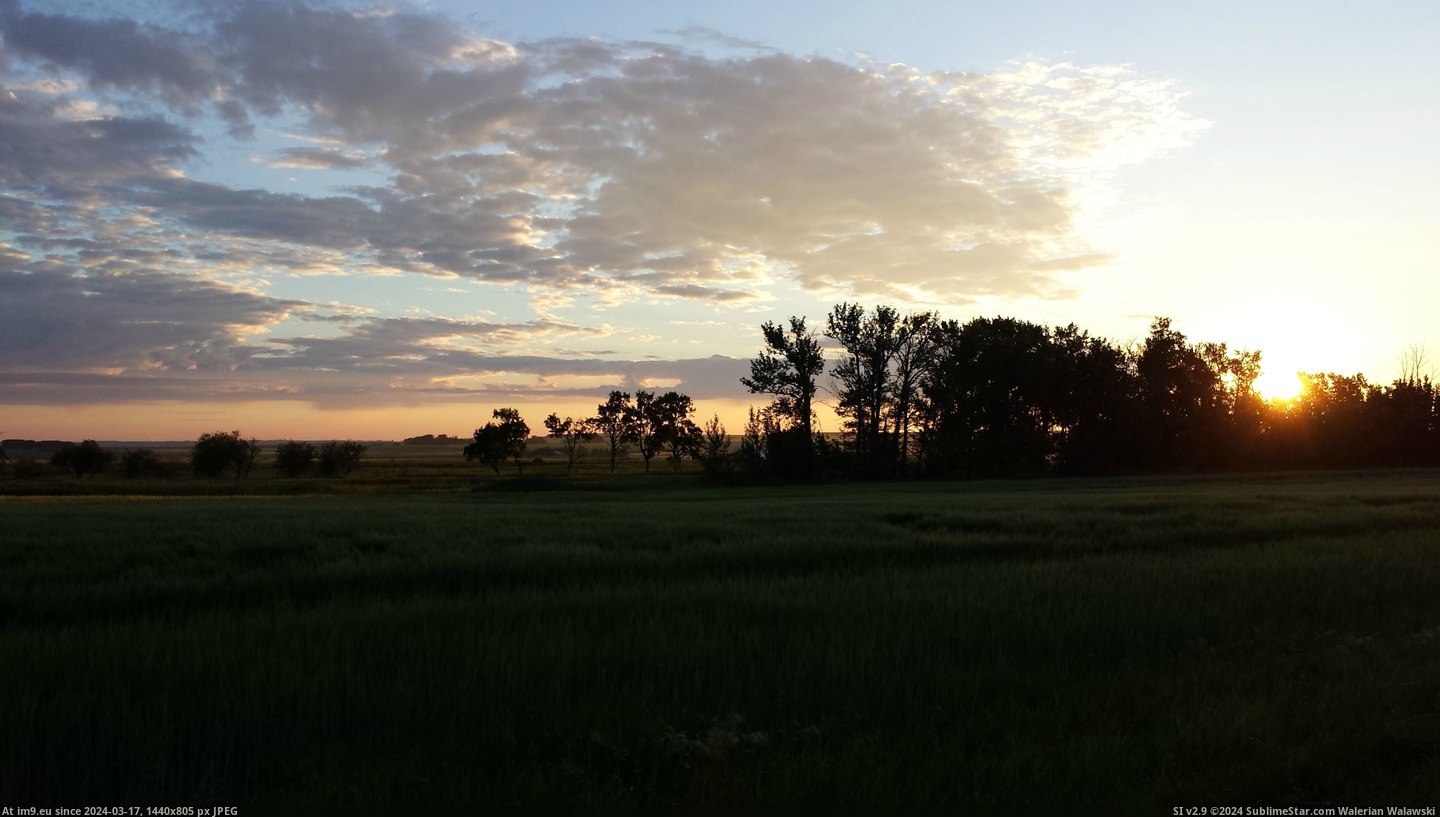 #Summer #Sunrise #4128x2322 #Alberta #Southern [Earthporn] Summer sunrise in southern Alberta in [4128x2322] Pic. (Изображение из альбом My r/EARTHPORN favs))