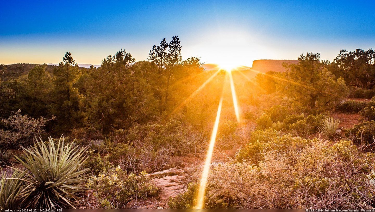 #Sunset #Arizona #2048x1152 #Desert [Earthporn] Sunset in the desert, Arizona [OC] [2048x1152] Pic. (Image of album My r/EARTHPORN favs))