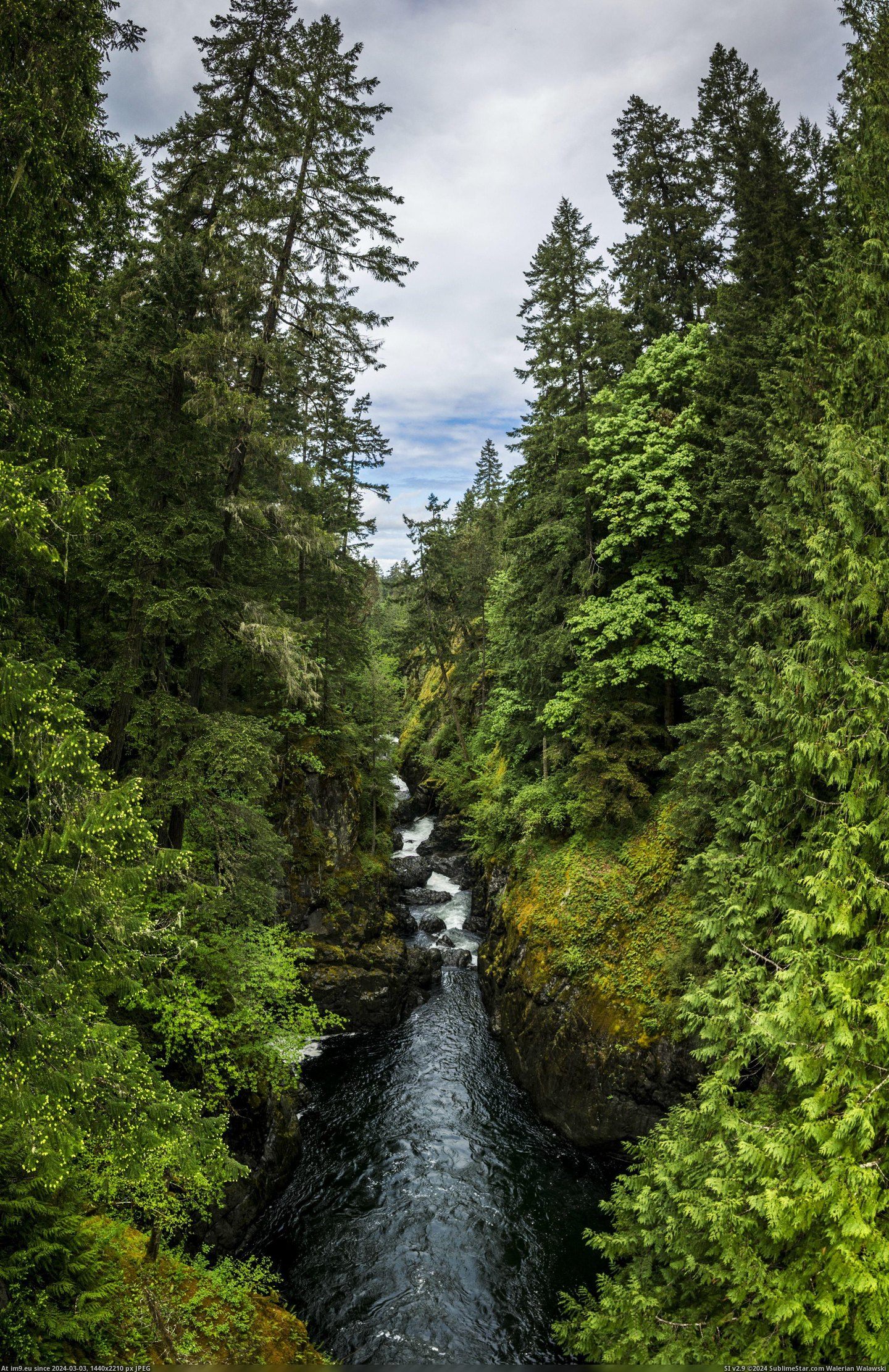  #River  [Earthporn] The Englishman River, Parksville BC [2892x4451] Pic. (Image of album My r/EARTHPORN favs))