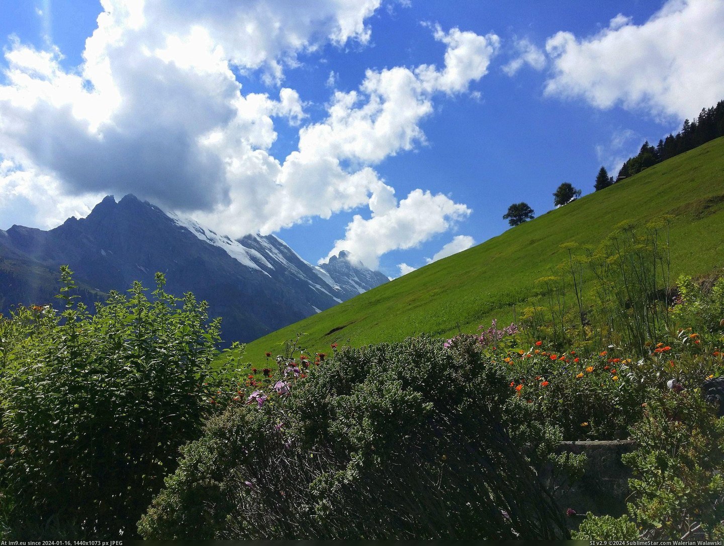#Mountain #Switzerland #Gimmelwald #Hillside #Grassy [Earthporn] The grassy mountain hillside of Gimmelwald, Switzerland [OC] [2476 x 1857] Pic. (Obraz z album My r/EARTHPORN favs))