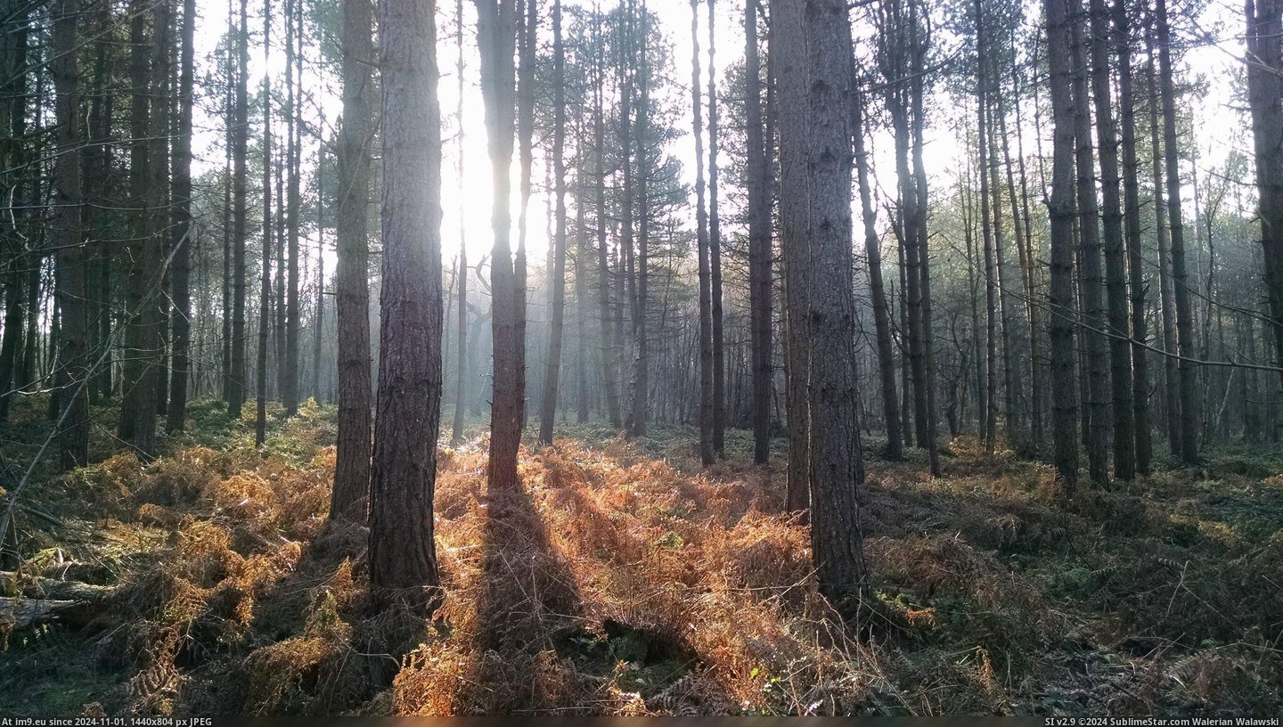 #England  #Lungs [Earthporn] The Lungs Of England  [2272x1532] Pic. (Image de album My r/EARTHPORN favs))