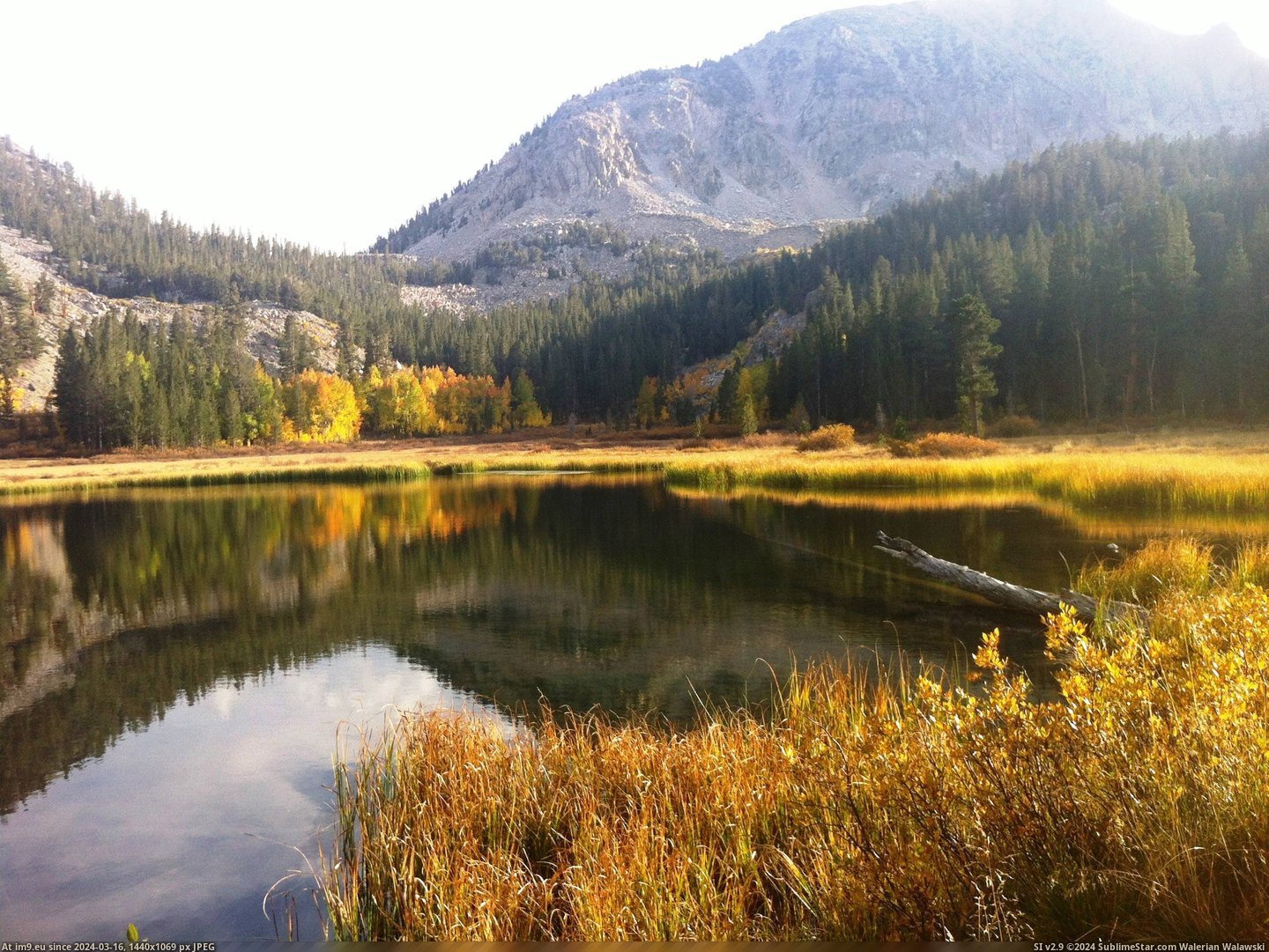 #National #Lake #Fishing #2592x1936 #Trout #Forest #Grass [Earthporn] There's not much better than trout fishing at a secluded lake. Grass Lake, Inyo National Forest  [2592x1936] Pic. (Obraz z album My r/EARTHPORN favs))