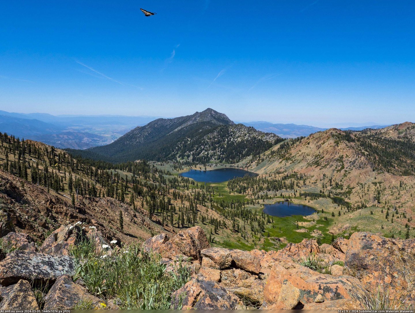 #Image #Lake #California #Top #Flying #Trinity #Boulder #East #Butterfly #Tiger #Alps [Earthporn] Tiger Swallowtail Butterfly (top of image) flying near East Boulder Lake in the Trinity Alps of California. [2700x20 Pic. (Obraz z album My r/EARTHPORN favs))