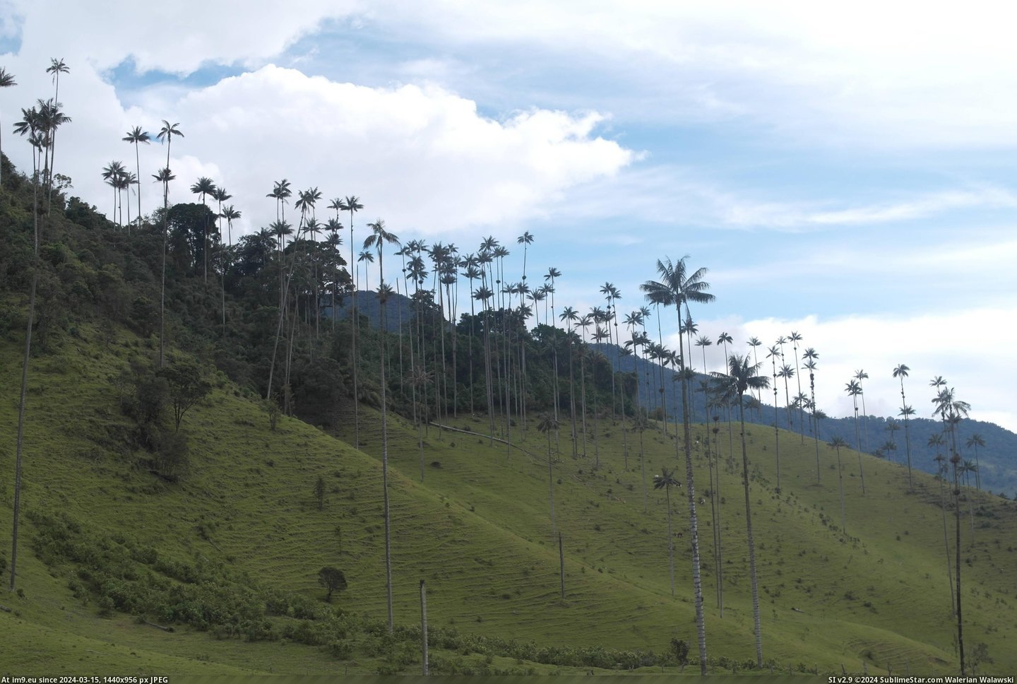 #Picture #Died #Colombia #Camera [Earthporn]  Valle de Cocora, Colombia. Last picture I took before my camera died. [4378x2918] Pic. (Изображение из альбом My r/EARTHPORN favs))