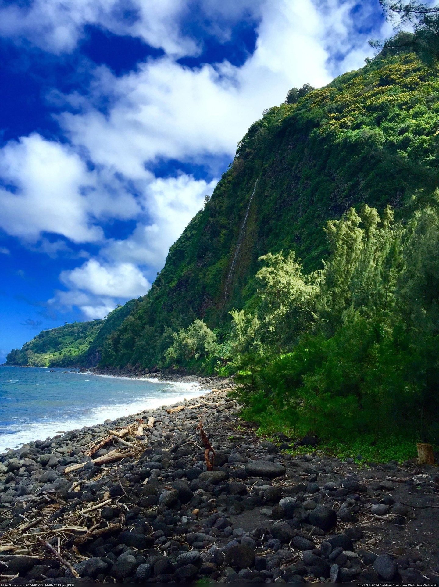 #Big #Island #Floor #Valley [Earthporn] View from the floor of the Waipi'o Valley, Big Island, HI  [2,203x2,938] Pic. (Image of album My r/EARTHPORN favs))