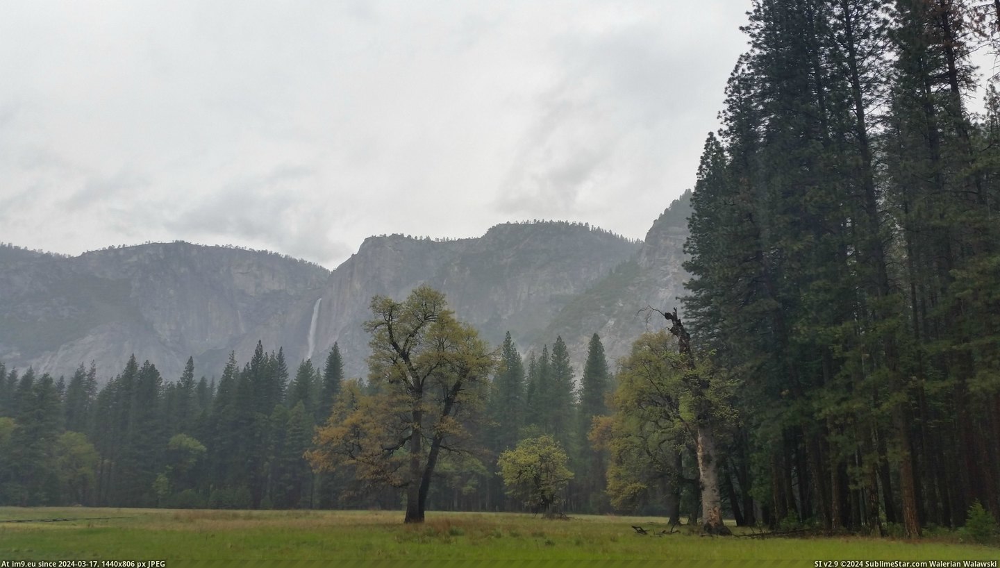 #Valley #Yosemite #Giants #Walking #5312x2988 [Earthporn] Walking among giants in the Yosemite valley  [5312x2988] Pic. (Bild von album My r/EARTHPORN favs))