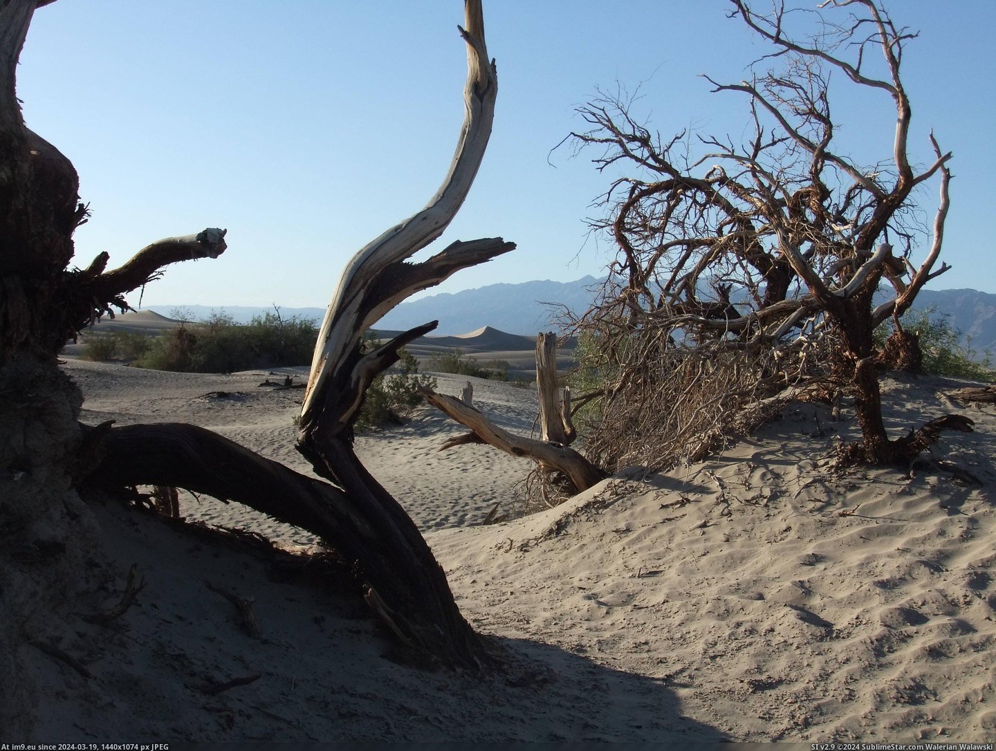 #California #Valley #Remains #Living #Death [Earthporn] What remains of the living - Death Valley, California [3024x2268] Pic. (Bild von album My r/EARTHPORN favs))