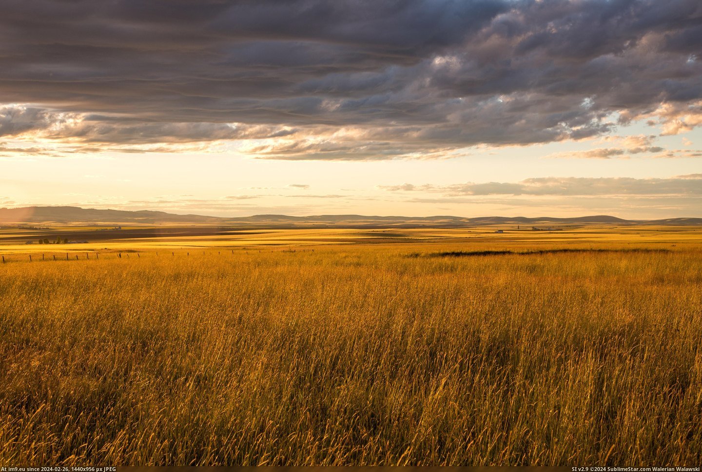 #Sunset #Golden #Wheat #Drenched #5000x3333 #Moscow #Fields [Earthporn] Wheat fields drenched in a golden sunset near Moscow, ID [OC][5000x3333] Pic. (Obraz z album My r/EARTHPORN favs))