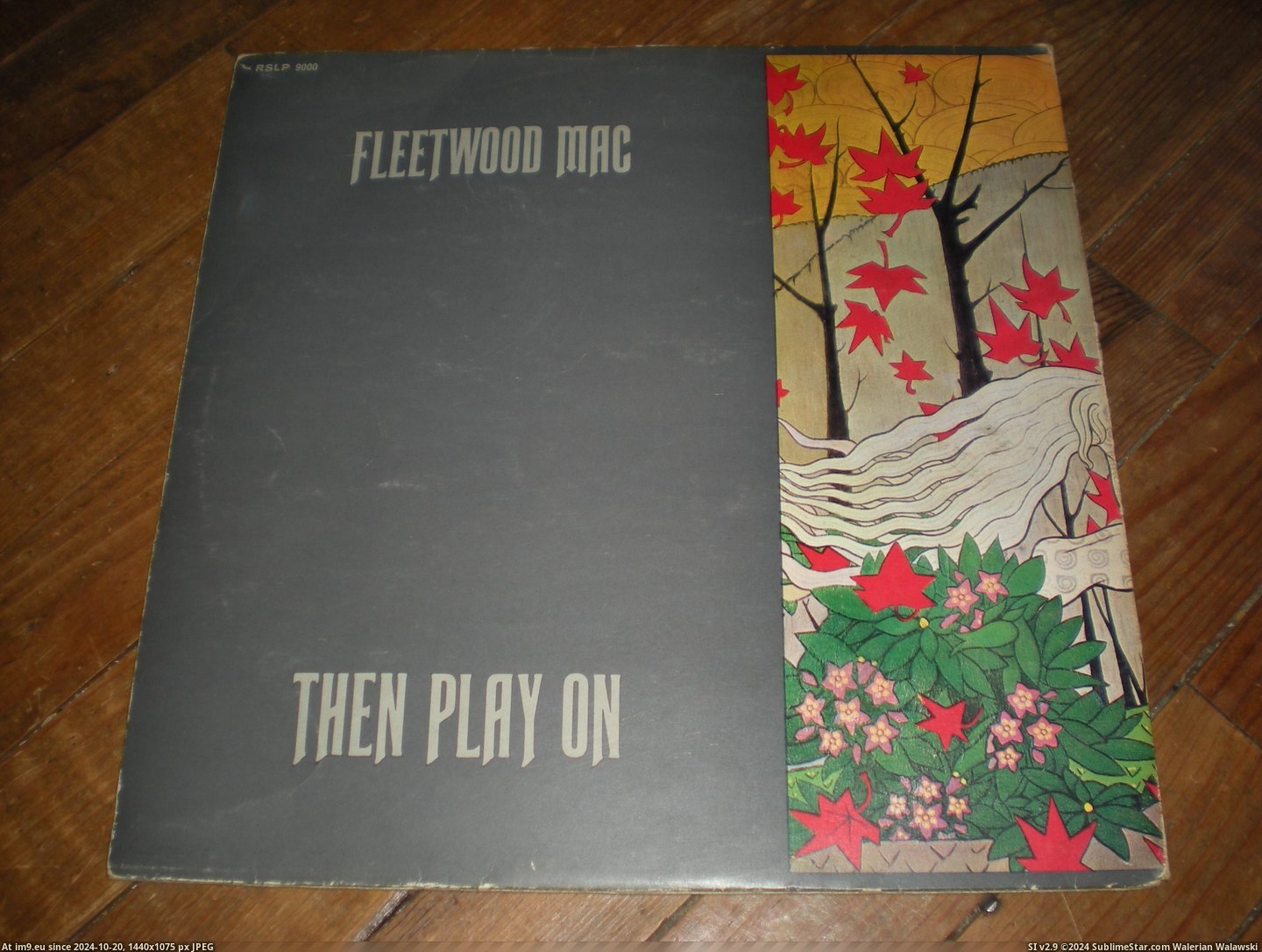#Fleetwood  #Reprise Fleetwood REPRISE 6 Pic. (Изображение из альбом new 1))