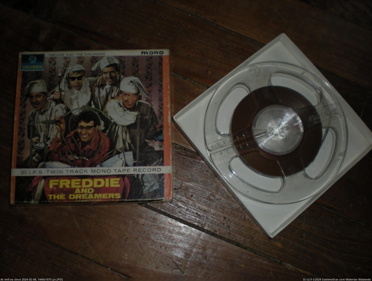  #Freddie  Freddie 1 Pic. (Bild von album new 1))