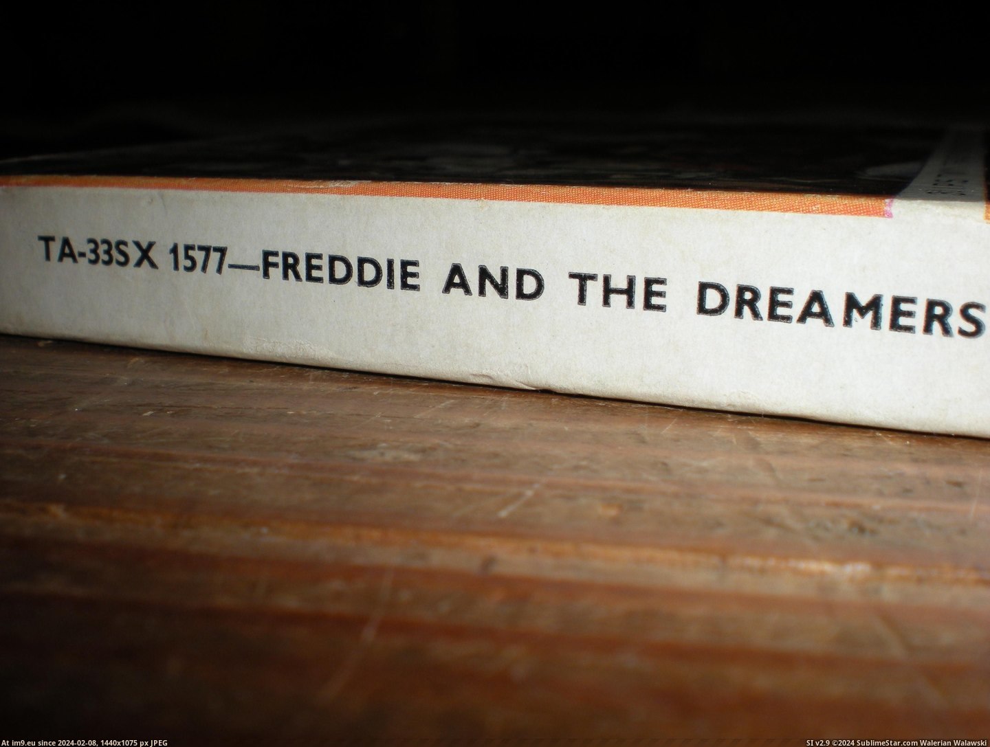  #Freddie  Freddie 2 Pic. (Bild von album new 1))