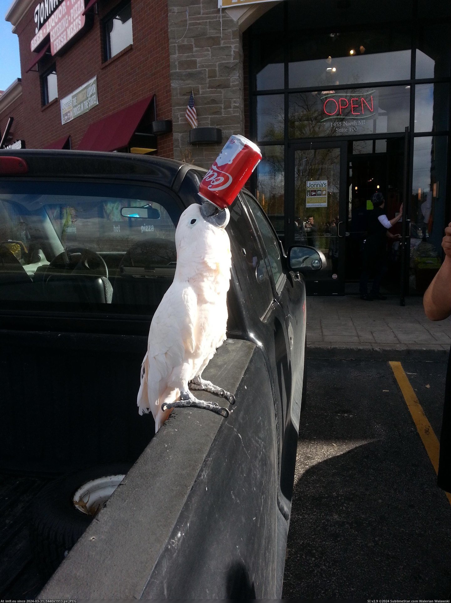 #Funny #Was #Sitting #Liquor #Soda #Store #Drinking [Funny] He was just sitting outside the liquor store drinking a soda 1 Pic. (Image of album My r/FUNNY favs))