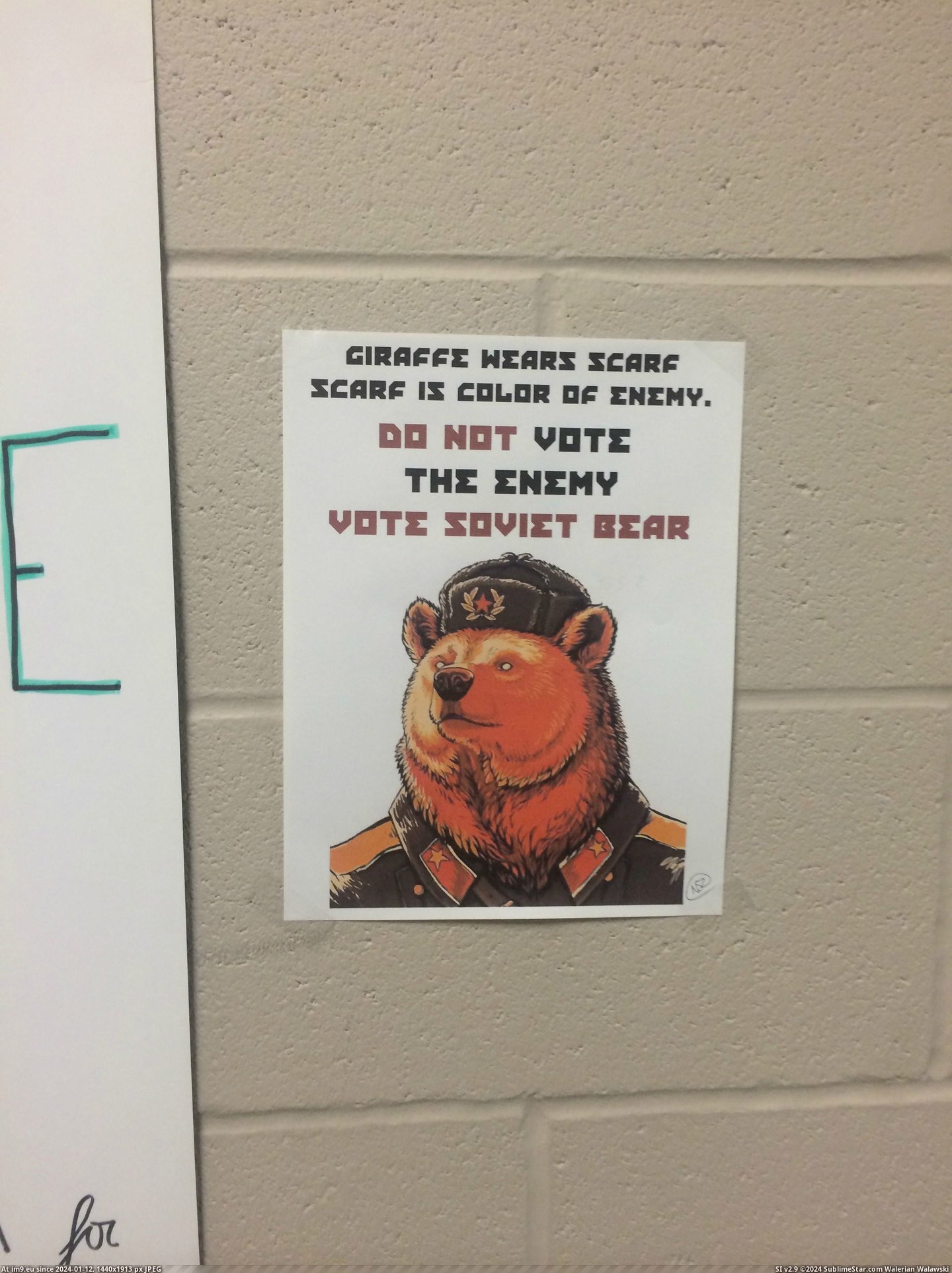 #Funny #School #Decided #Holding #Soviet #Council #Elections #Bear #Student #Run [Funny] So my school is holding elections for student council... and someone has decided to run as Soviet Bear 15 Pic. (Image of album My r/FUNNY favs))