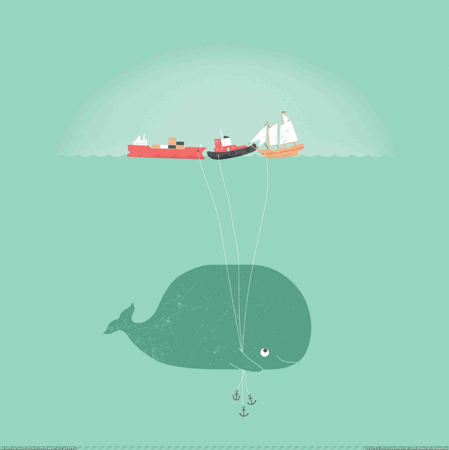 #Funny #Balloons #Whale [Funny] Whale balloons Pic. (Image of album My r/FUNNY favs))