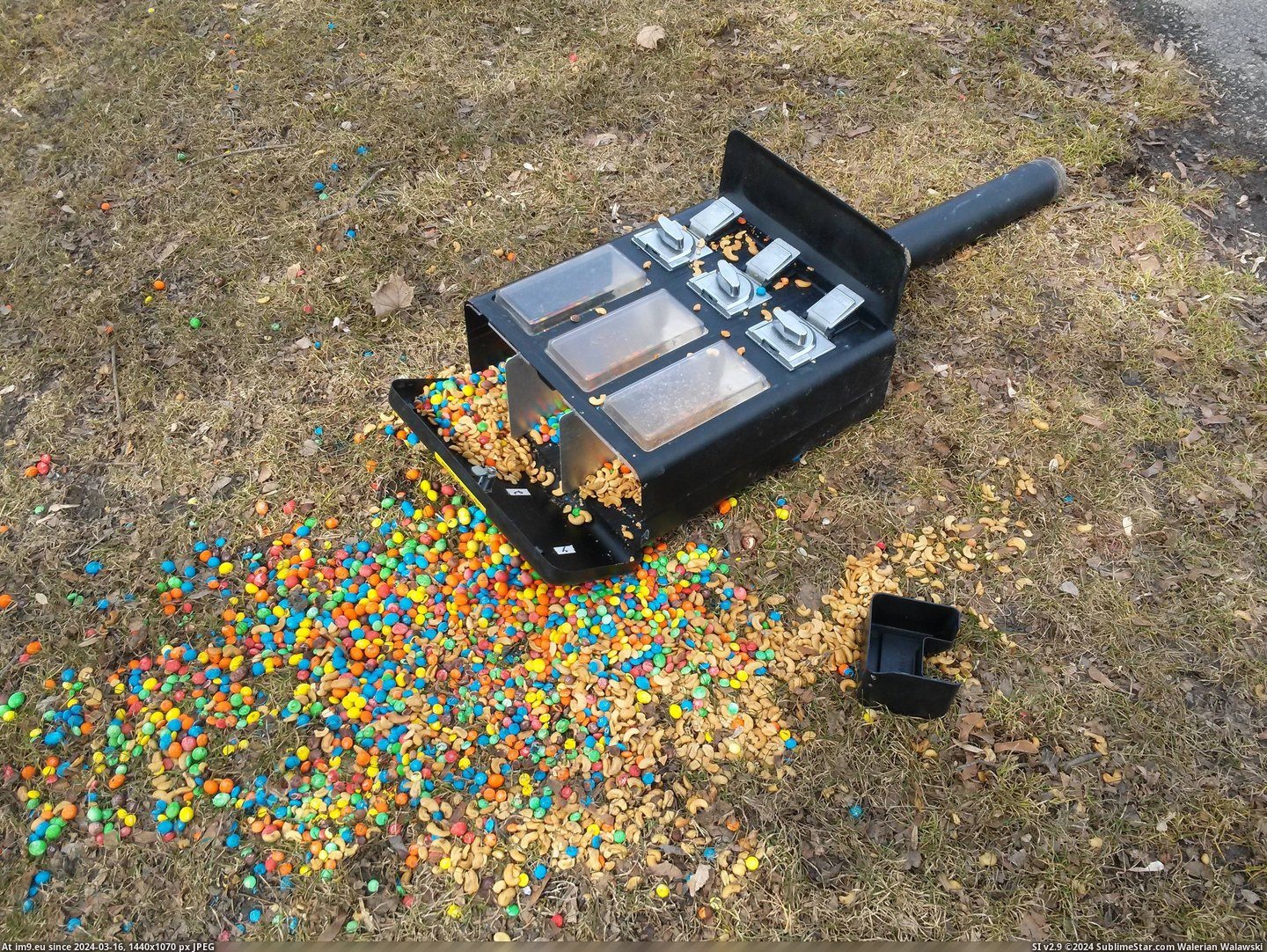 #Funny #Day #Years #Squirrels #Marquette #Park #Machine #Nuts [Funny] Years from now squirrels at Marquette Park will tell their grandchildren of the day the nuts-M&Ms machine collapsed. Pic. (Bild von album My r/FUNNY favs))