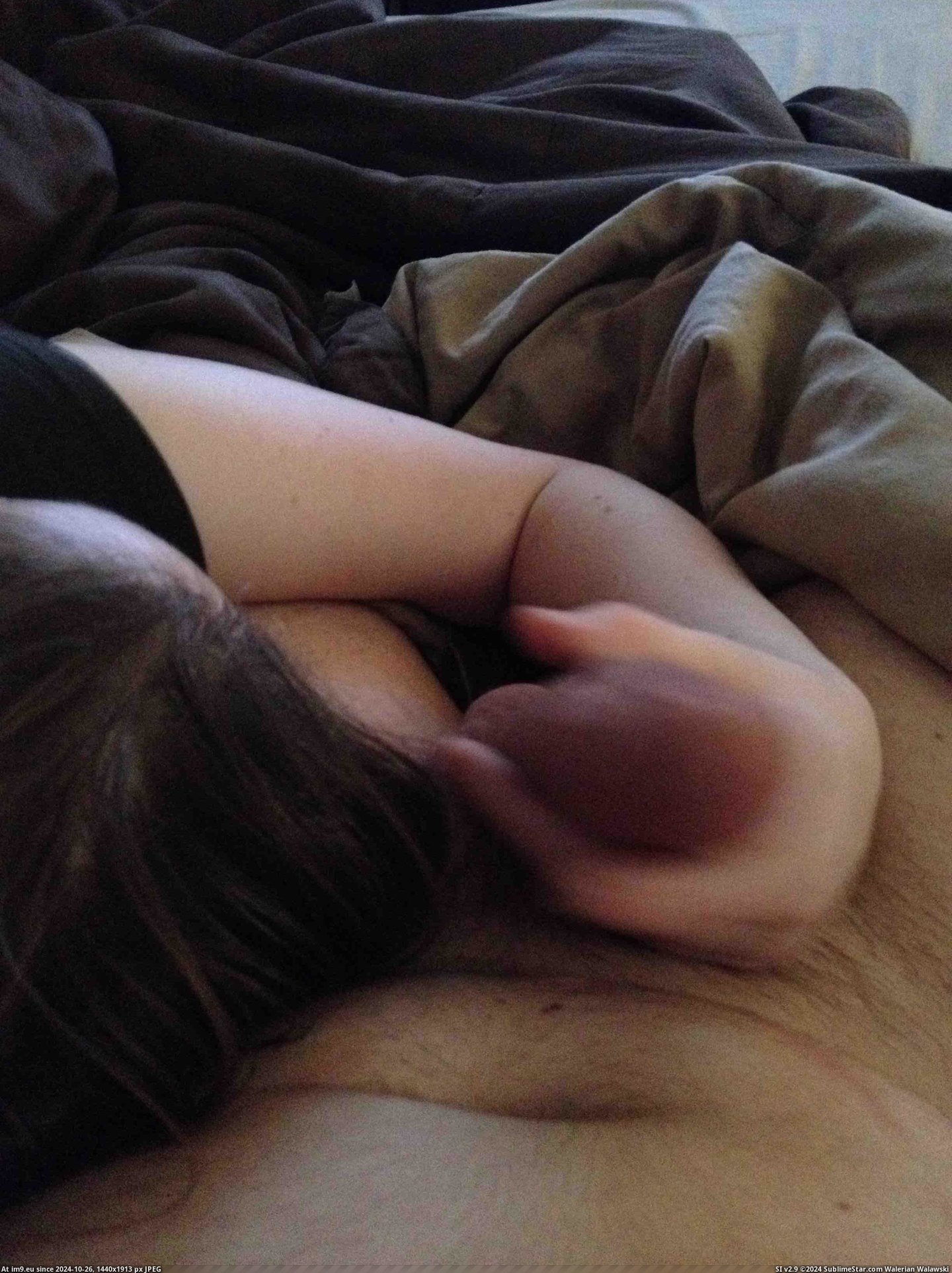 #Amateur #Cunt #Milf #Butt #Sexyass #Bestpussy #Sexybutt #Hottits #Hotboobs #Bigtits #Pussyfucked #Pussylips fWkyyM1 Pic. (Image de album Rando-Wilders))