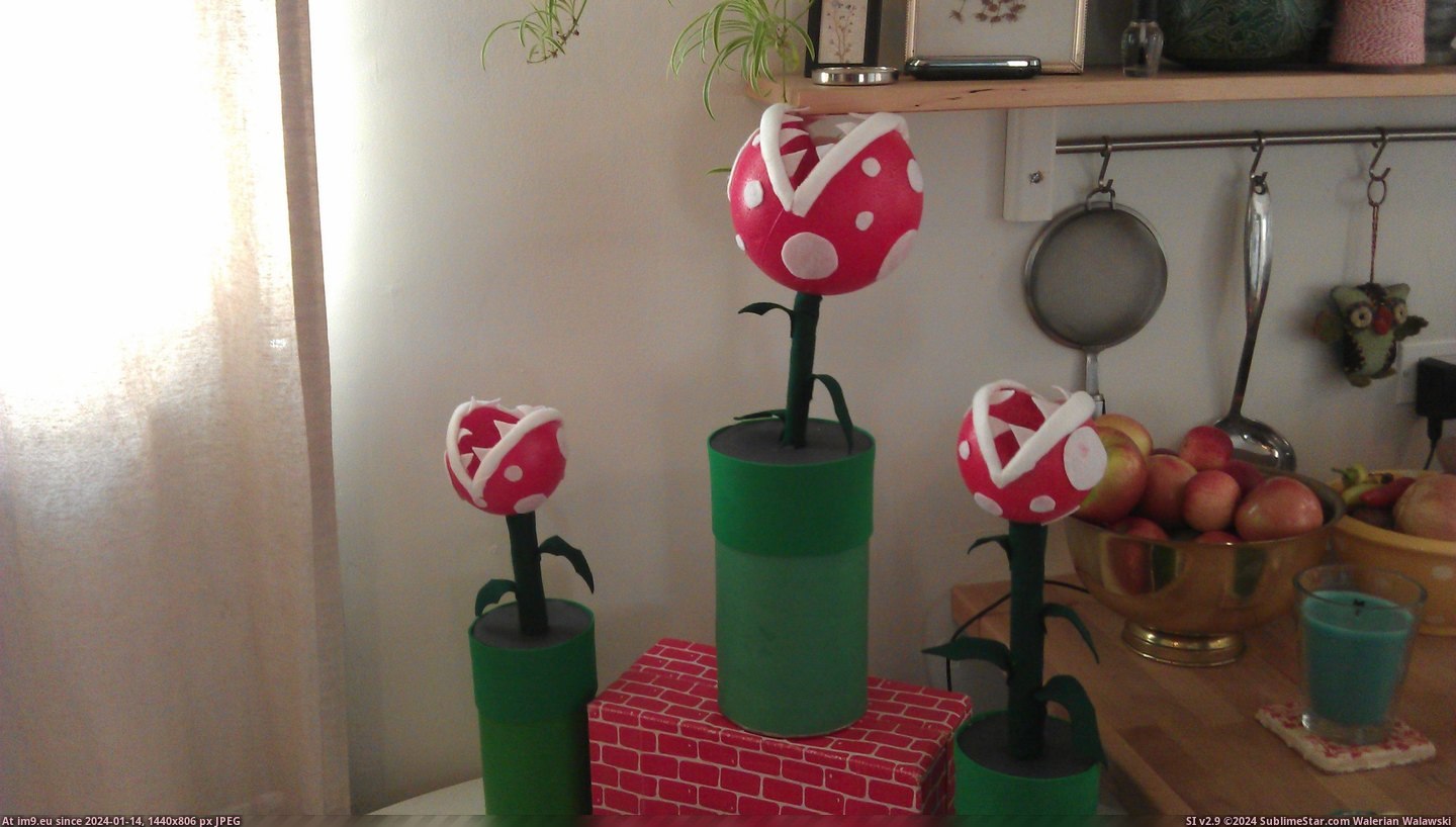 #Gaming #For #Are #Mario #5th #Threw #Props #Party #Birthday #Son [Gaming] We threw a Mario party for my son's 5th birthday, here are some of the props 6 Pic. (Bild von album My r/GAMING favs))