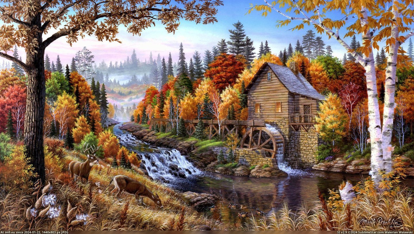 #Painting #2560x1440 #Oil #Forest Home-in-the-forest-oil-painting_2560x1440 Pic. (Изображение из альбом hotxxx))