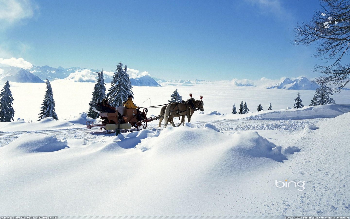 Horse sleigh, Switzerland (©Alamy) (in December 2012 HD Wallpapers)