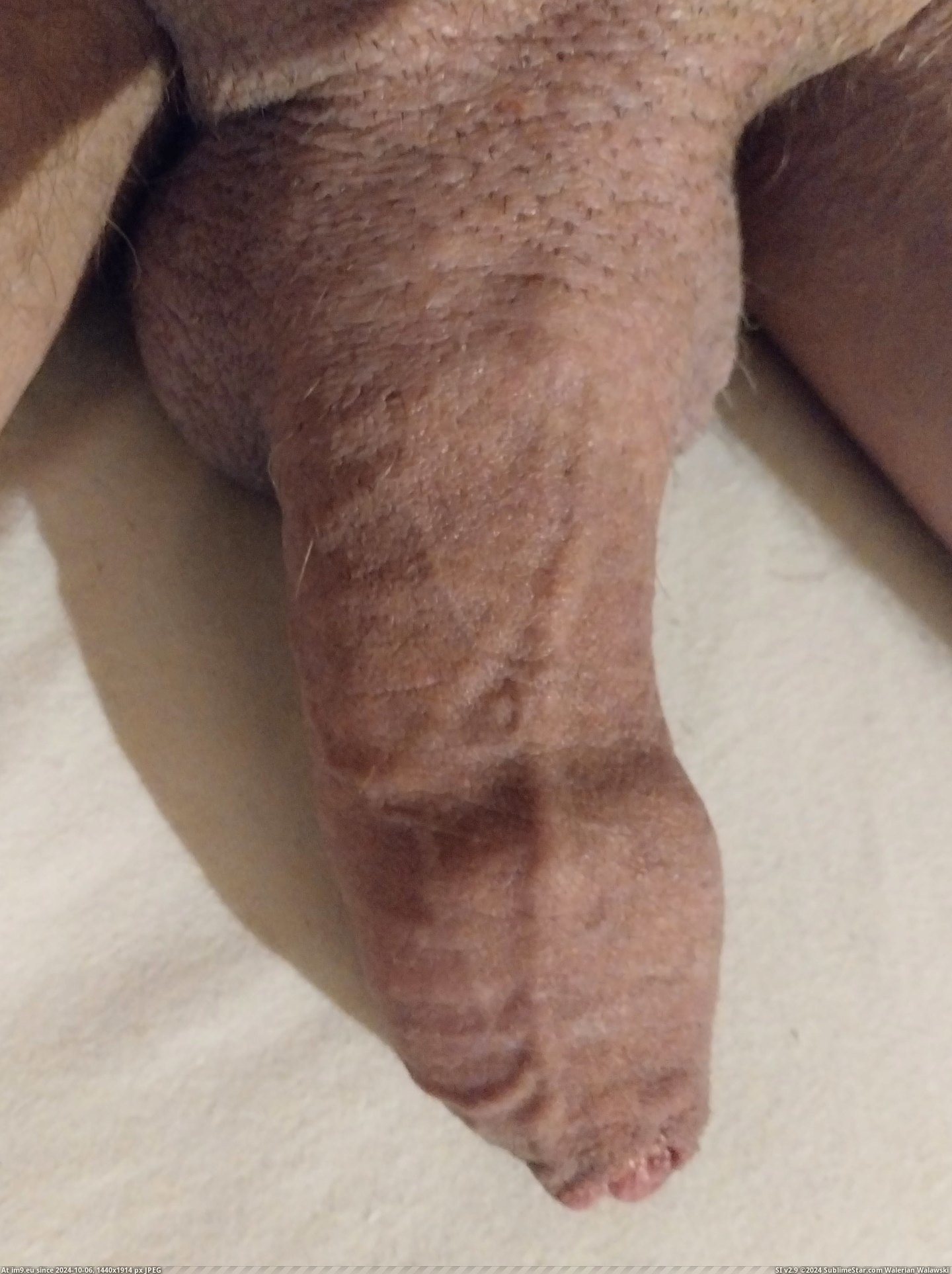 #Image #Mature #Penis #Cock #Dickpics image Pic. (Image of album Dickpics for women who love to watch))