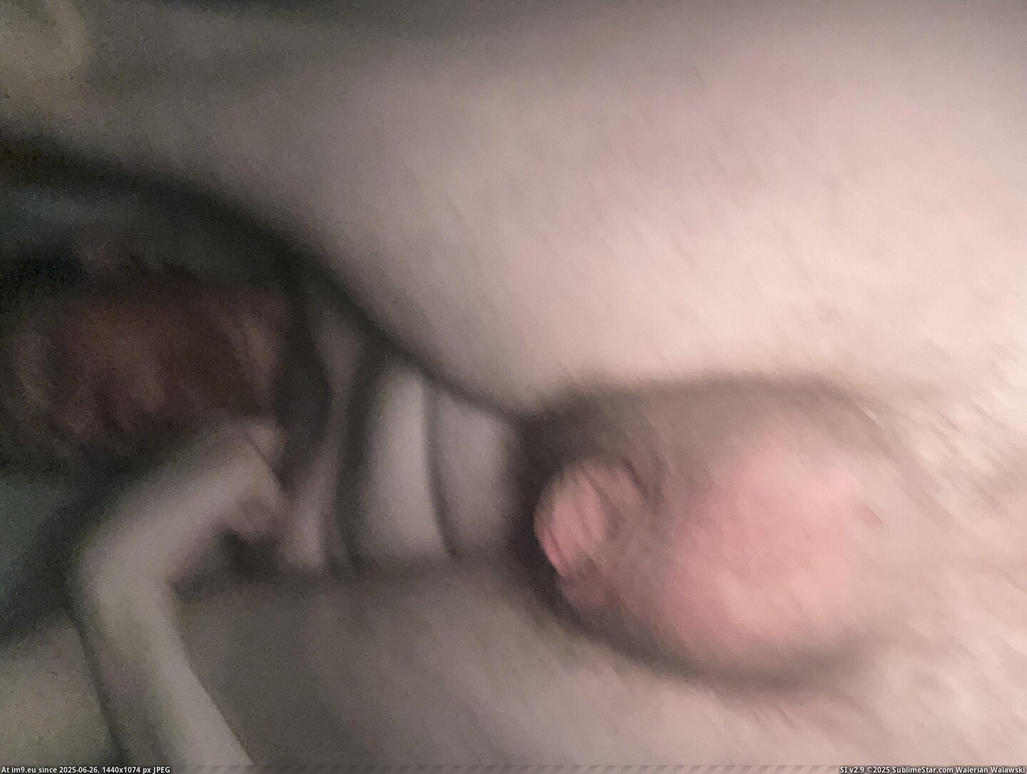 #Gay #Exposed #Fag #Lee #Joseph #Blackmail #Dickless #Faggot #Ray #Penectomy IMG_8050 Pic. (Obraz z album Dickless and Horny Faggot Joseph Ray Lee))
