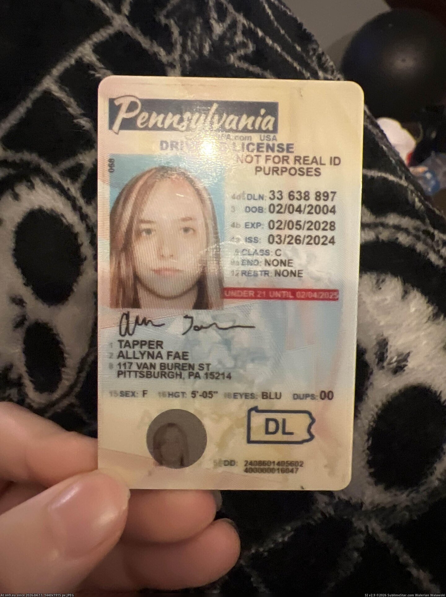 in Webslut allyna IMG_9410 Pic. (Image de album Webslut allyna))