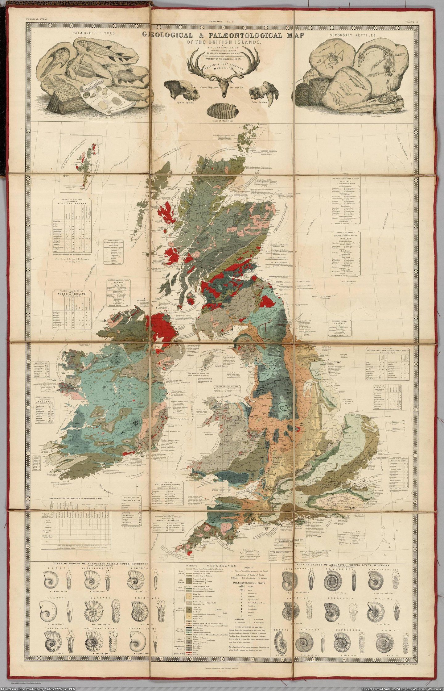 #Map #British #Johnston #Forbes #Palaeontological #Geological #Isles [Mapporn] Palaeontological and geological map of the British Isles, made 1854 by E. Forbes and A. Johnston [2377x3686] Pic. (Image of album My r/MAPS favs))