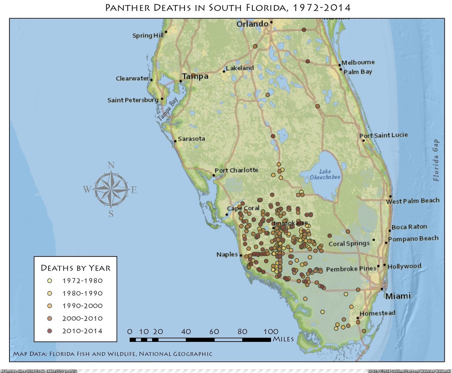 #Florida #Deaths #Panther [Mapporn] Panther Deaths in Florida, 1972-2014 Pic. (Image of album My r/MAPS favs))