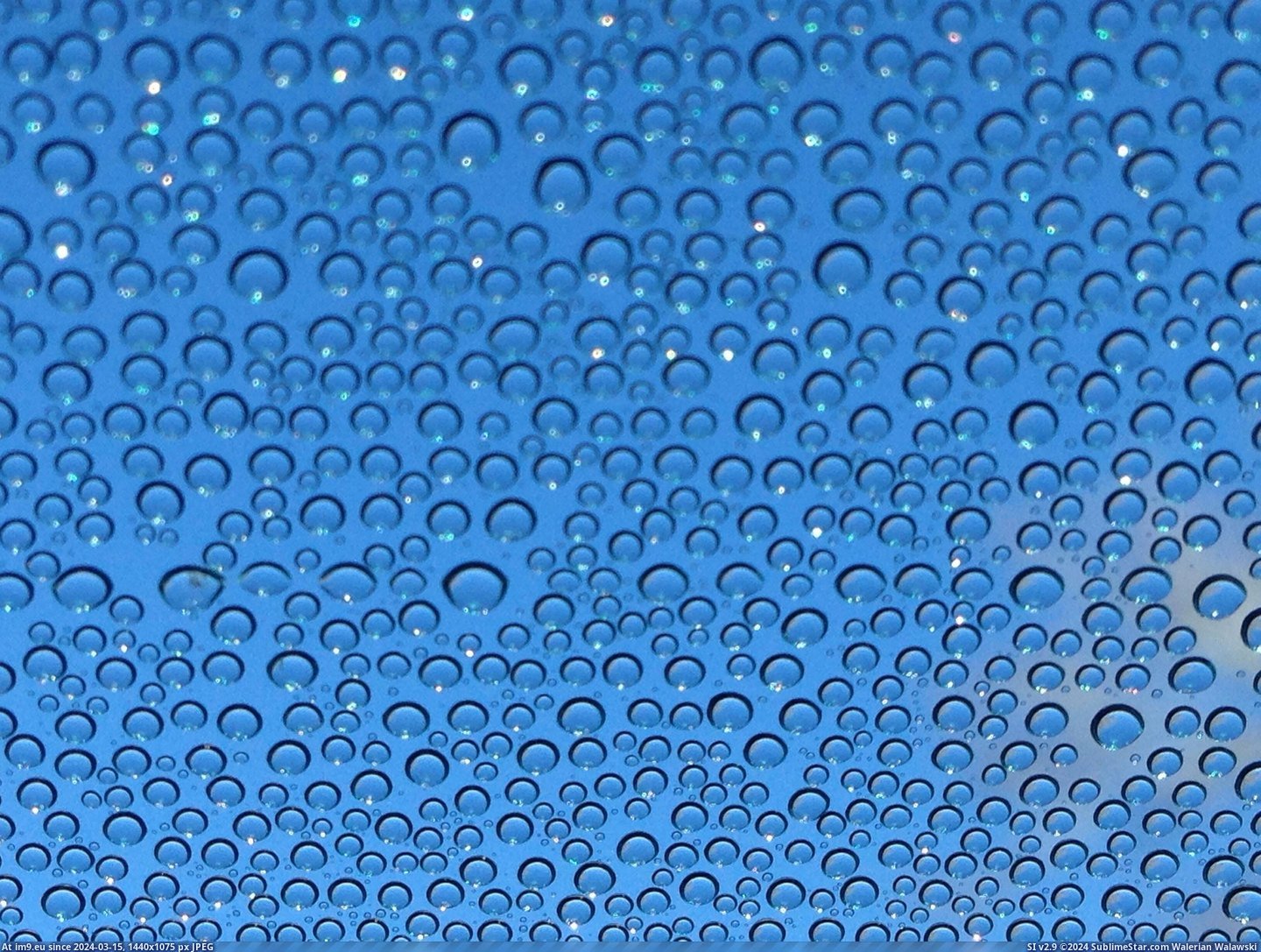 #One #Morning #Covering #Drops #Windshield #Perfect #Car [Mildlyinteresting] Got in my car one morning and found these perfect little drops covering my windshield Pic. (Image of album My r/MILDLYINTERESTING favs))
