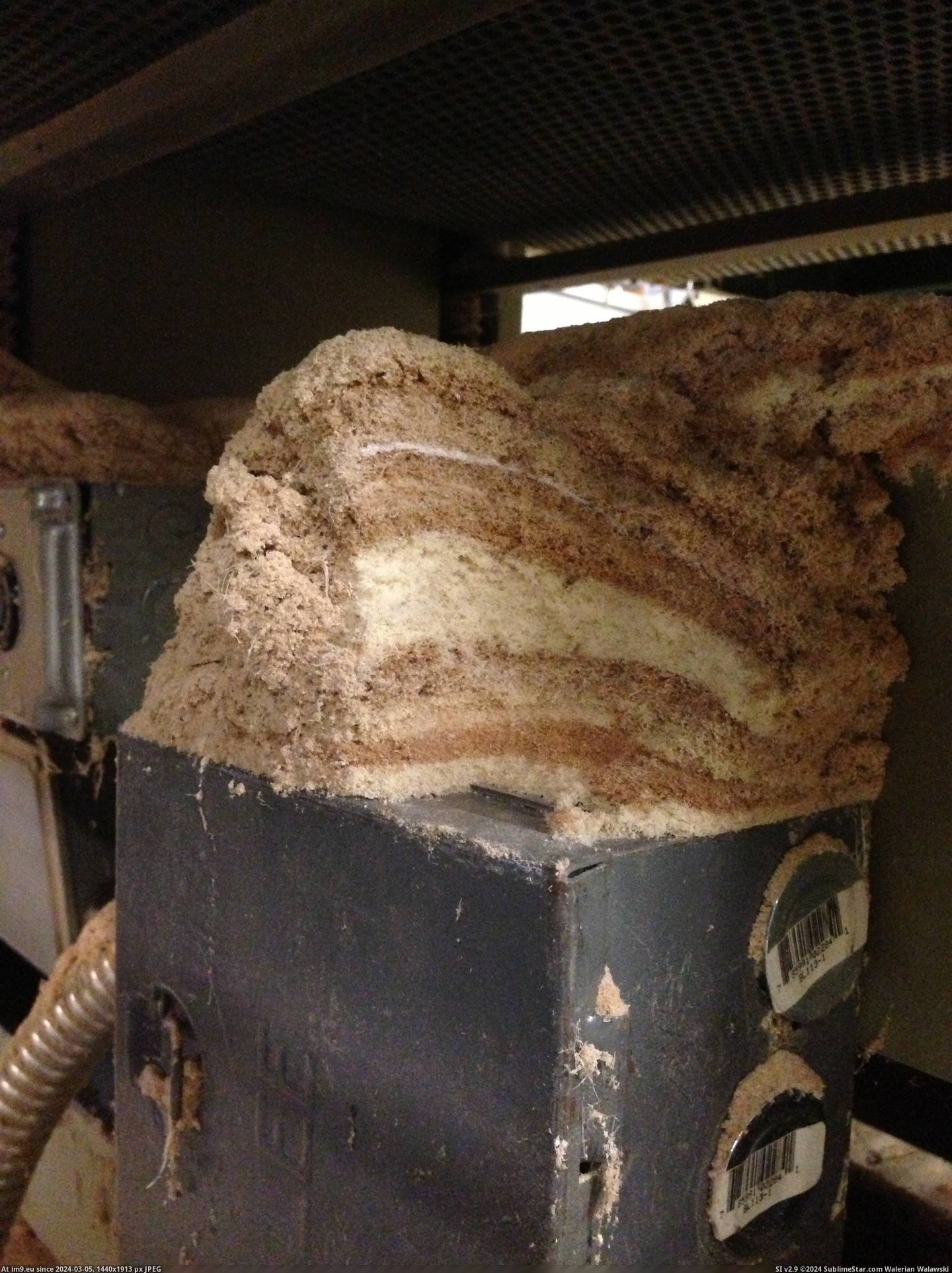 #Years #Collected #Machine #Sawdust #Millwor #Cabinet #Layered #Grandfathers [Mildlyinteresting] I came across many layered years of collected sawdust inside of a machine at my grandfathers cabinet-millwor Pic. (Изображение из альбом My r/MILDLYINTERESTING favs))