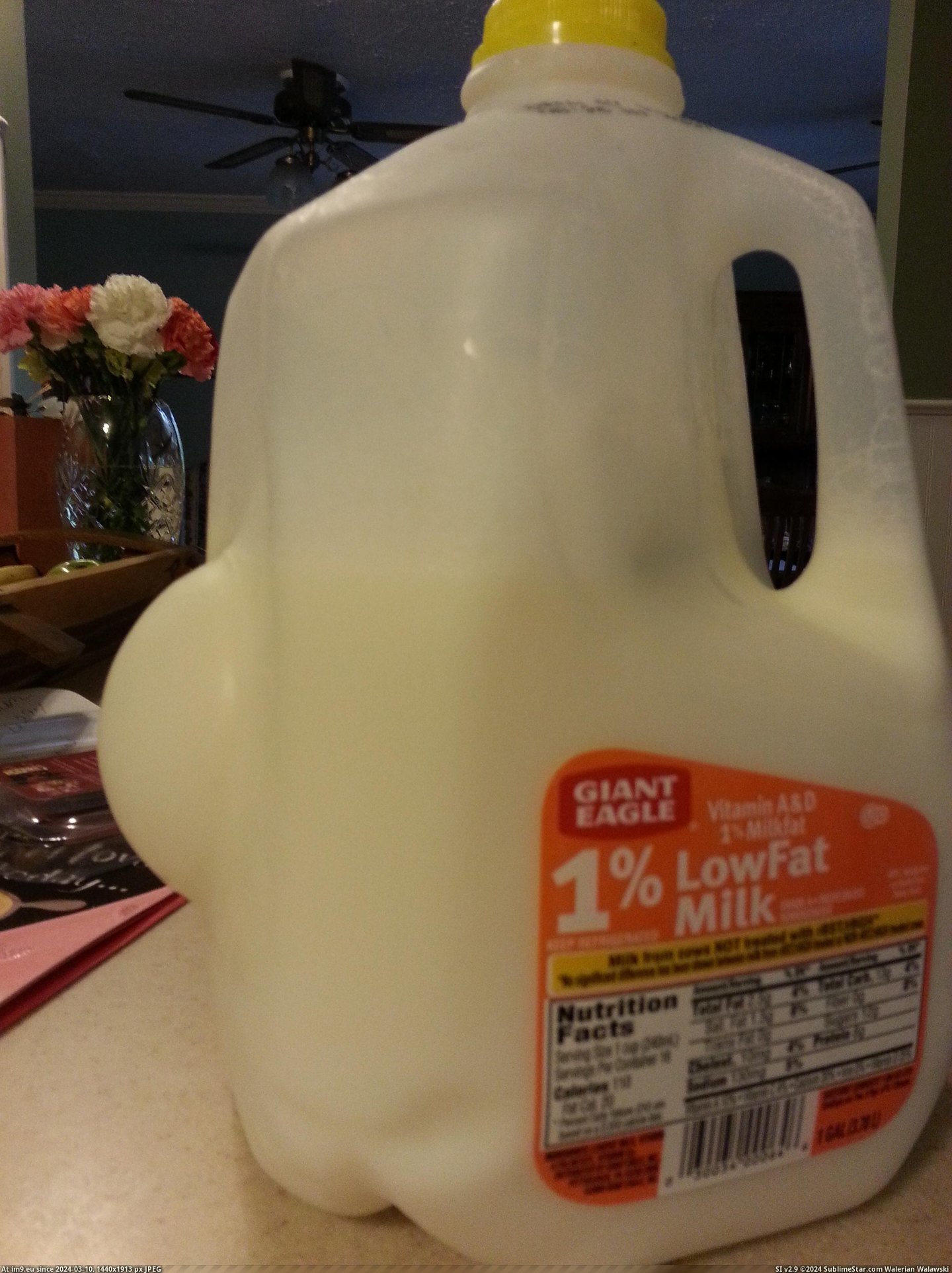 #Got #Milk #Gallon #Surprise #Dropped [Mildlyinteresting] I dropped a gallon of milk and got a surprise Pic. (Image of album My r/MILDLYINTERESTING favs))