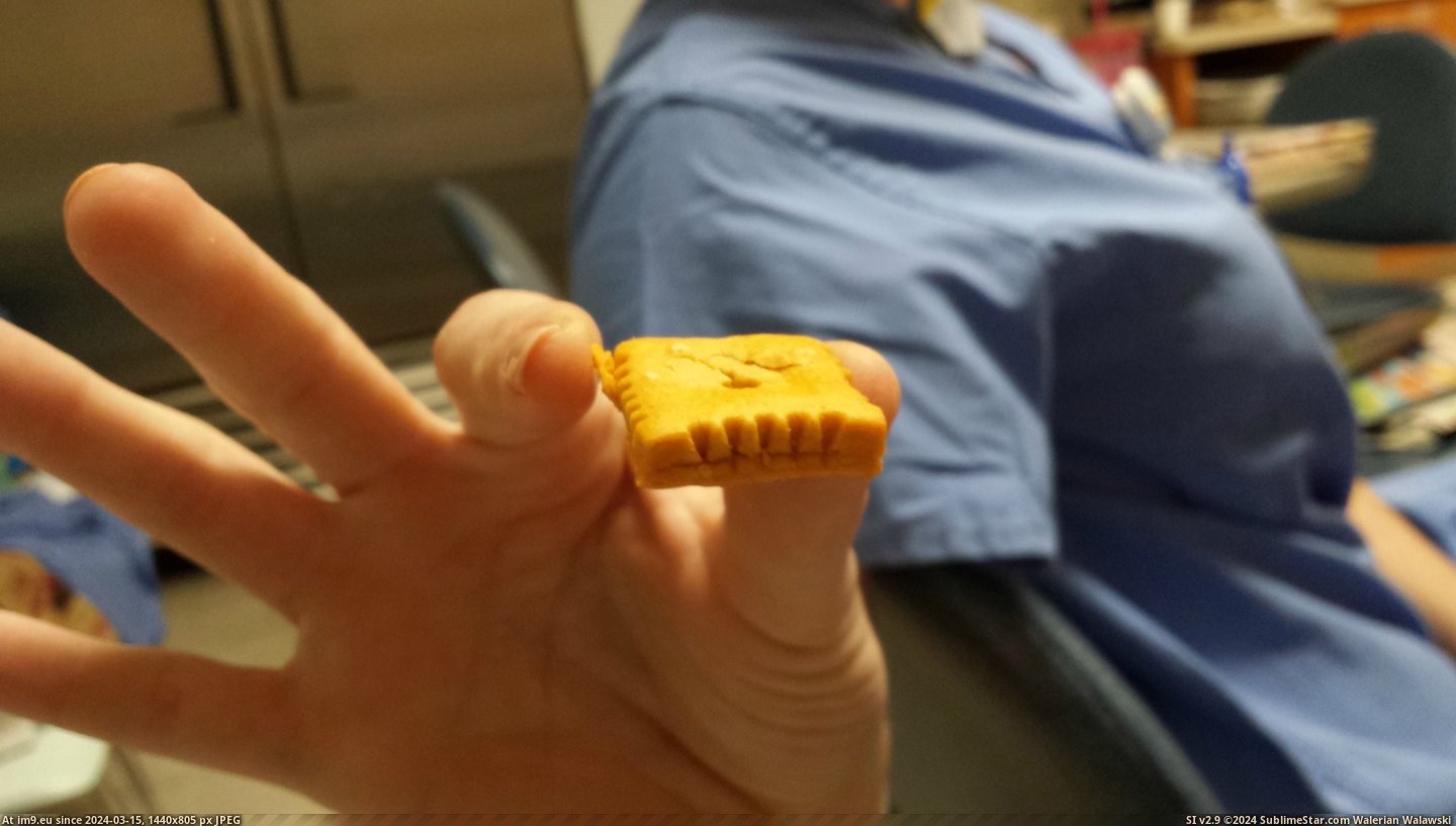 #Day #Cheez #Thick [Mildlyinteresting] I found a really thick Cheez-It the other day. Pic. (Изображение из альбом My r/MILDLYINTERESTING favs))