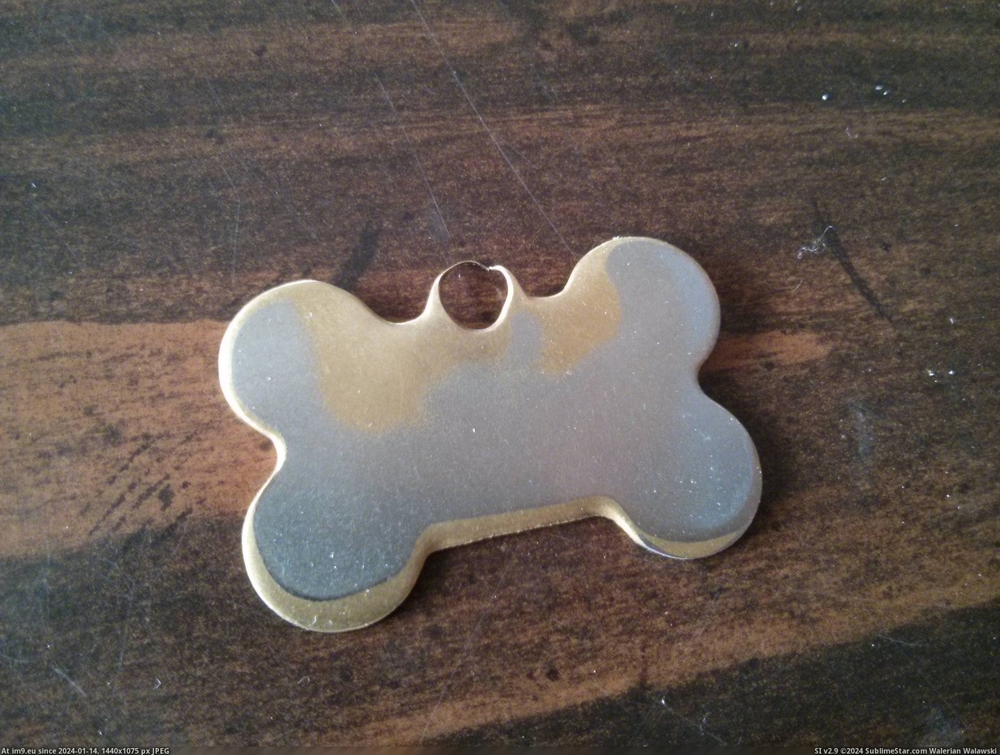 #Years #Out #Tag #Dog #Wore [Mildlyinteresting] My dog's dog tag wore out after 12 years Pic. (Bild von album My r/MILDLYINTERESTING favs))