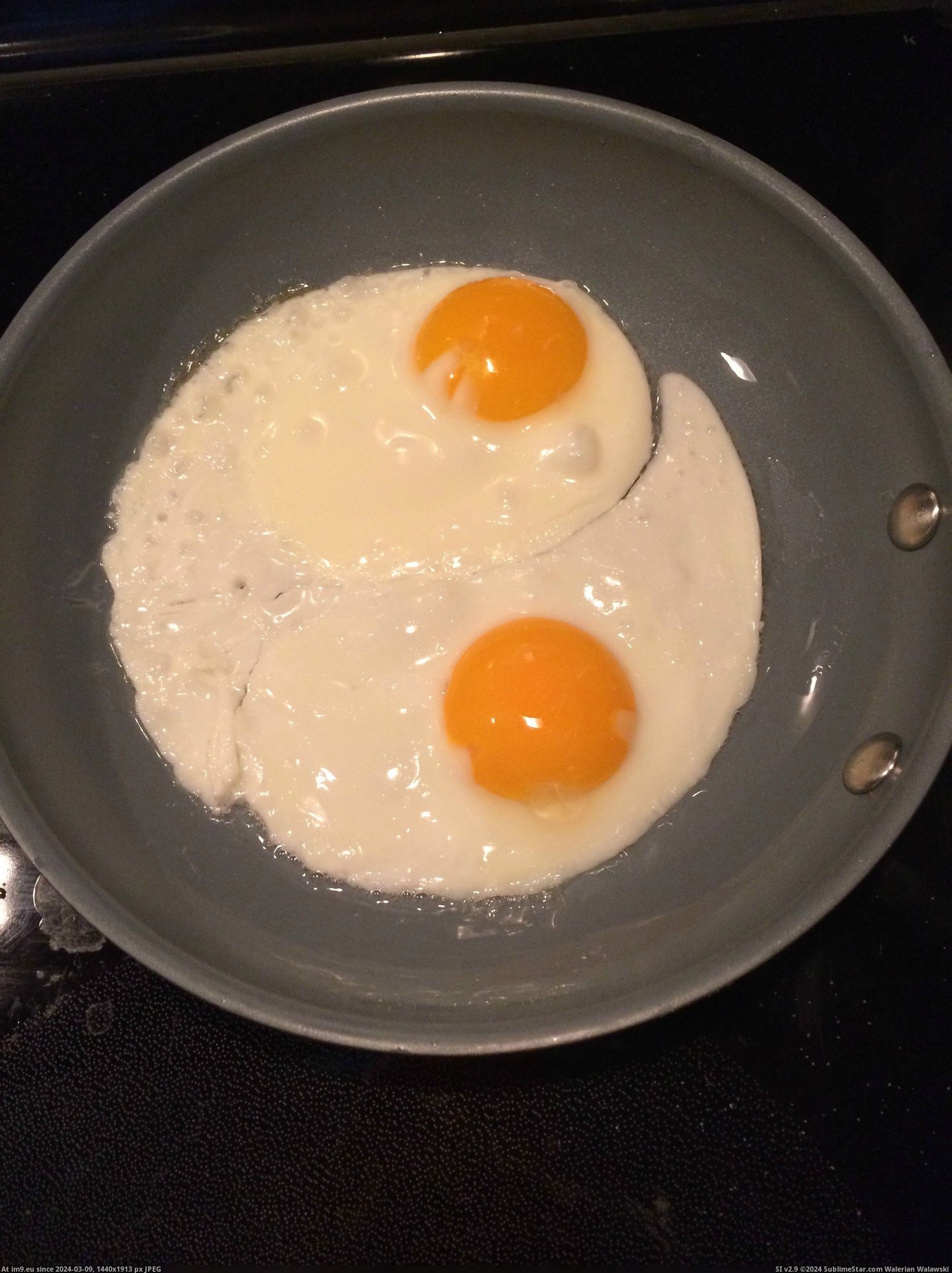 #Morning #Eggs #Yin #Yang #Formed #Symbol [Mildlyinteresting] My eggs formed a yin-yang symbol this morning Pic. (Obraz z album My r/MILDLYINTERESTING favs))