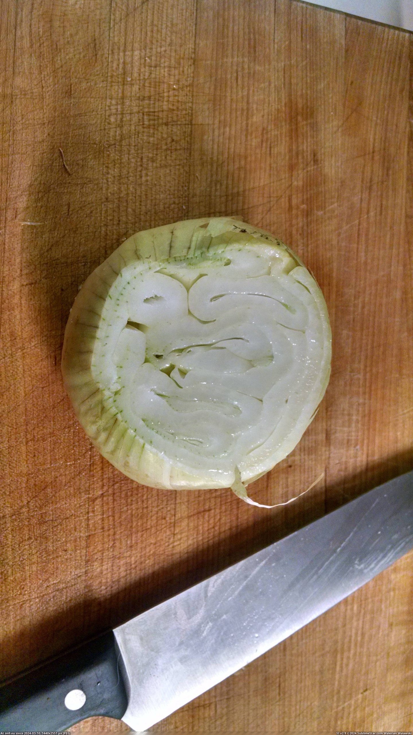 #Non #Onion #Concentric #Rings [Mildlyinteresting] My onion has non-concentric rings Pic. (Bild von album My r/MILDLYINTERESTING favs))