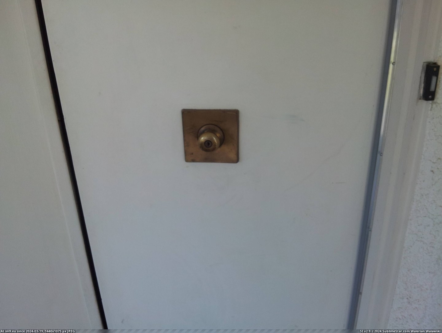 #Sister #House #Knobs #Door #Moved [Mildlyinteresting] My sister just moved into a house with door knobs in the middle of the door. 2 Pic. (Obraz z album My r/MILDLYINTERESTING favs))