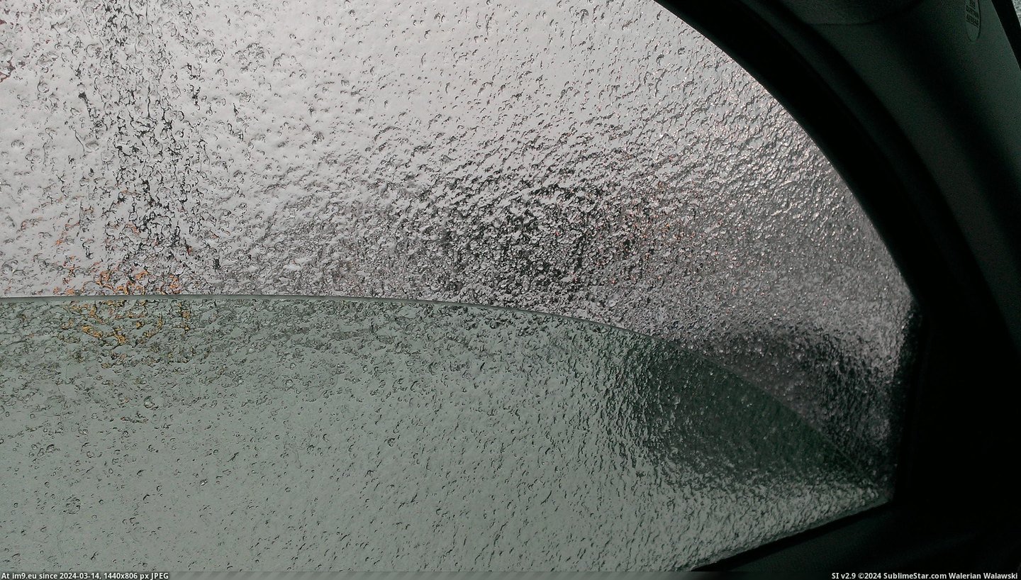 #One #Car #Window #Not [Mildlyinteresting] One of these pictures is not my car window. 1 Pic. (Image of album My r/MILDLYINTERESTING favs))