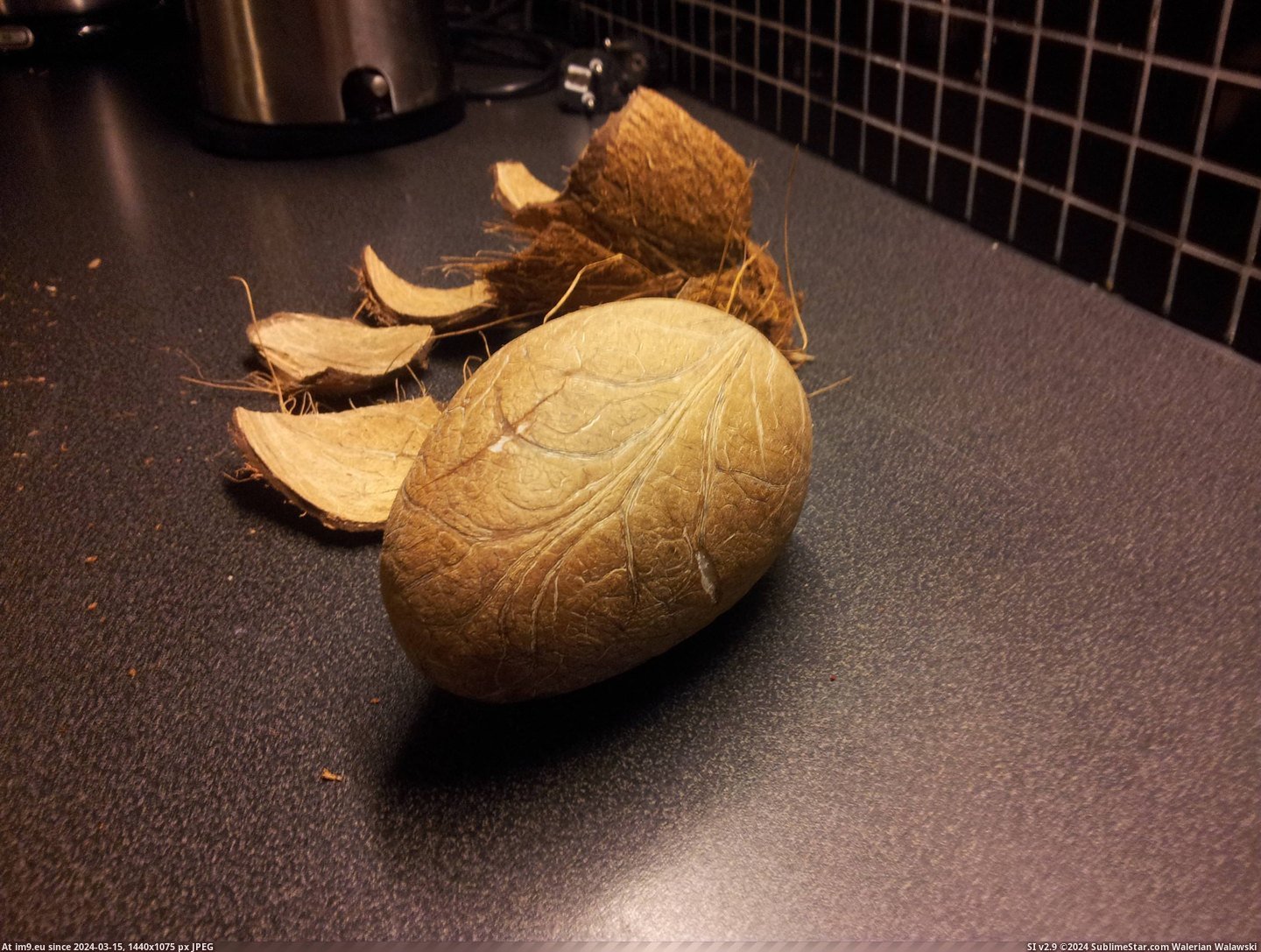 #Breaking #Peeled #Soo #Coconut [Mildlyinteresting] Soo, I just peeled a coconut without breaking it. 4 Pic. (Obraz z album My r/MILDLYINTERESTING favs))