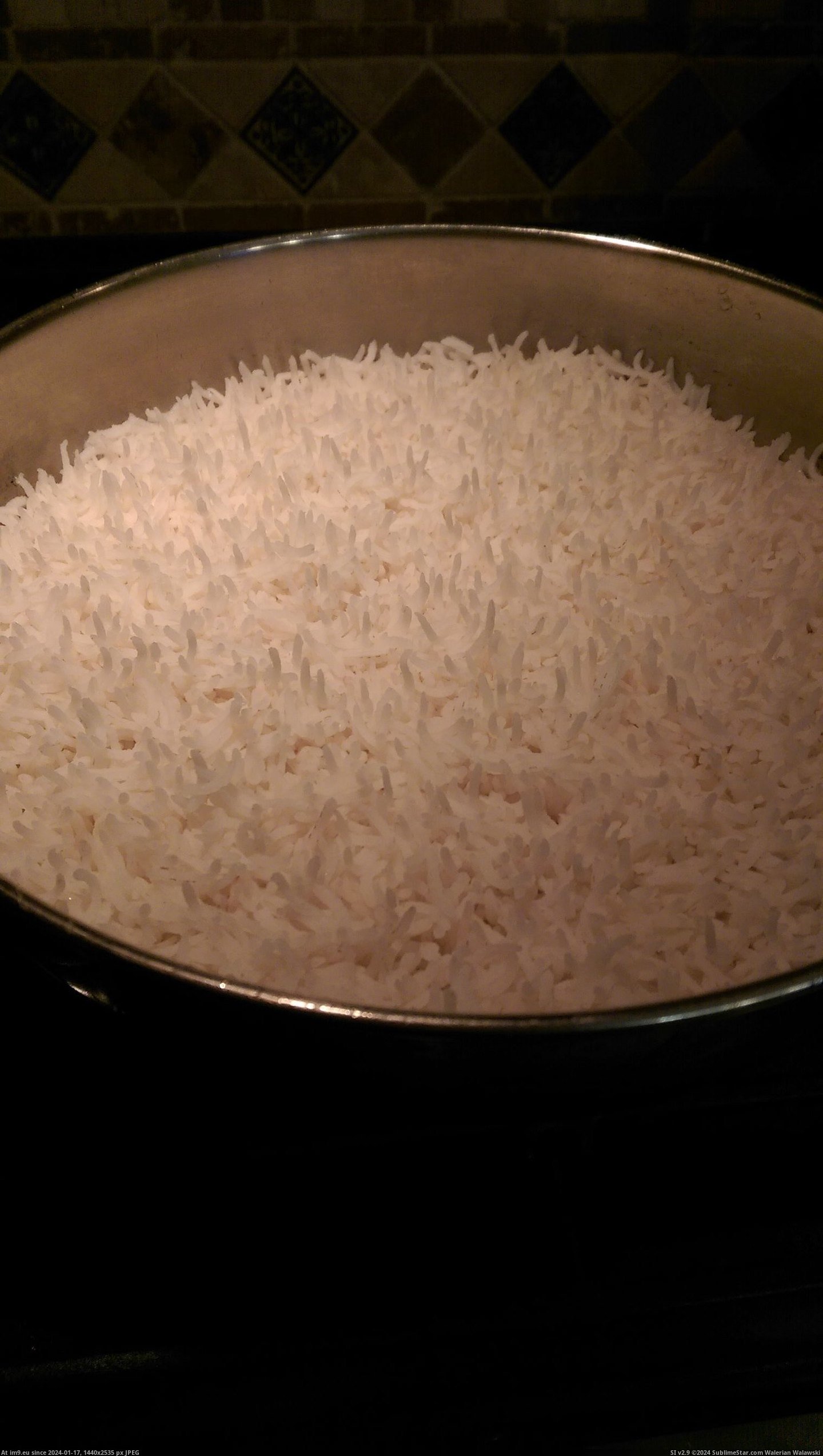 [Mildlyinteresting] The rice cooked for tonight stood up, literally (in My r/MILDLYINTERESTING favs)
